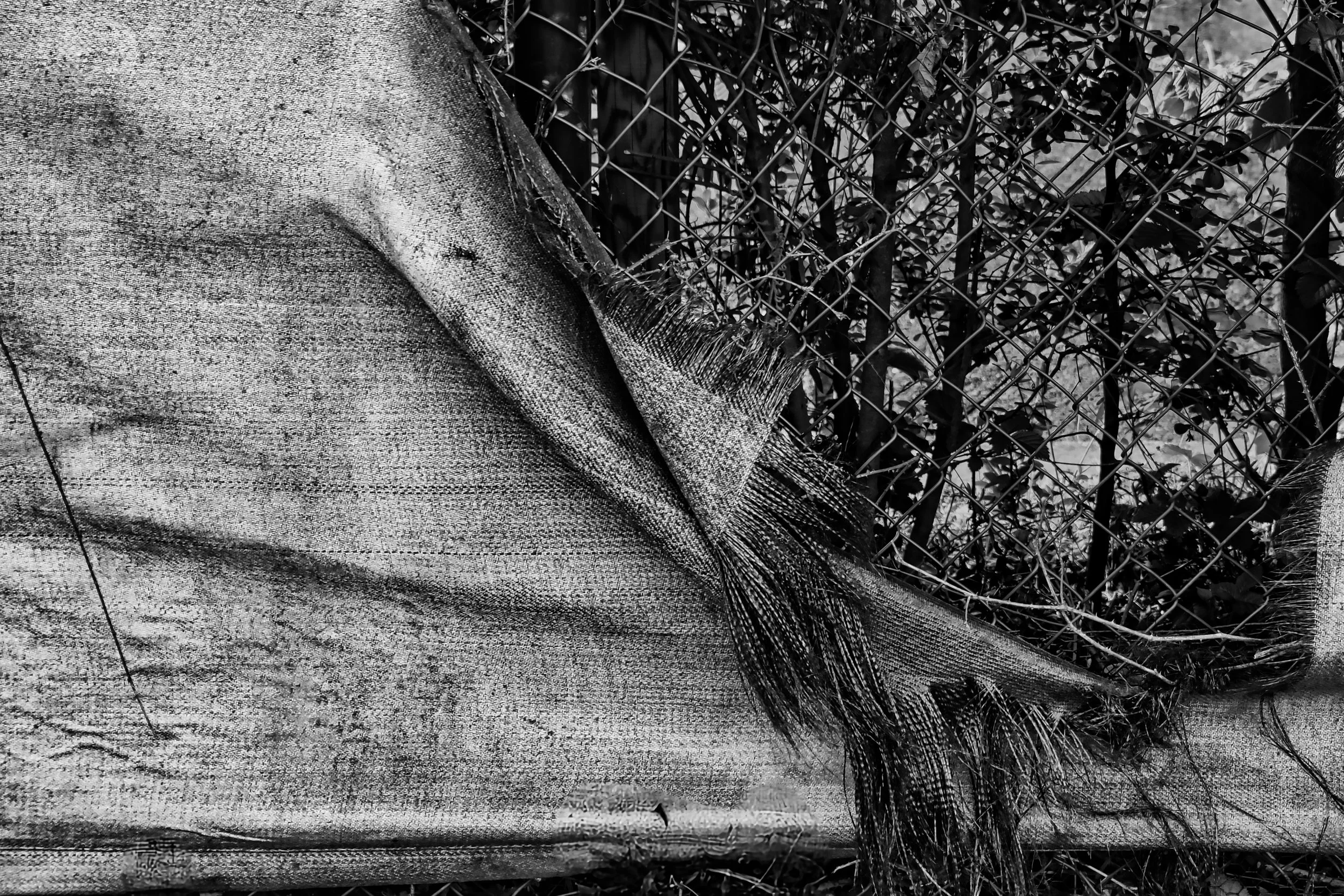 Gap in the Fence - Dentergem