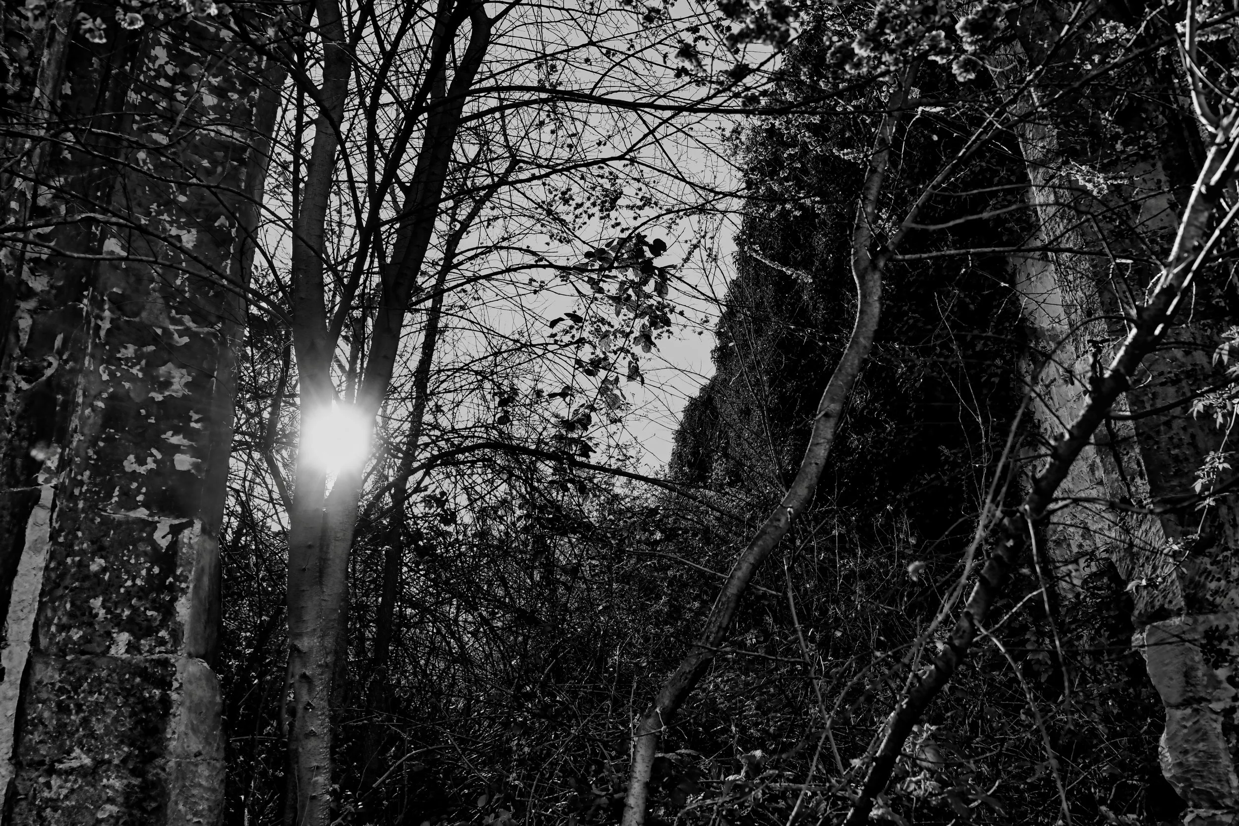 A new Dawn amidst the Ruins - Amiens