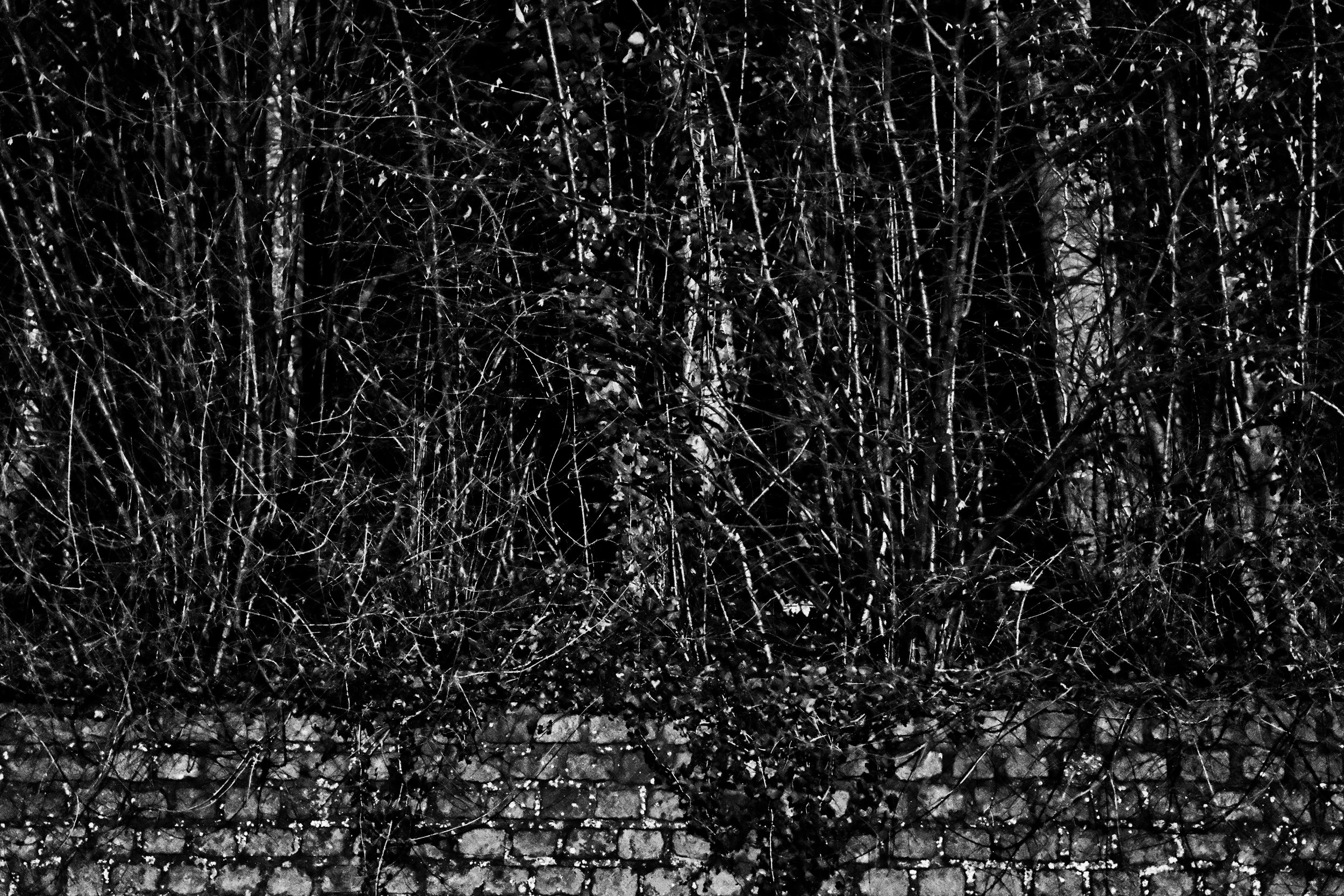 Hinter der Mauer - Geraardsbergen