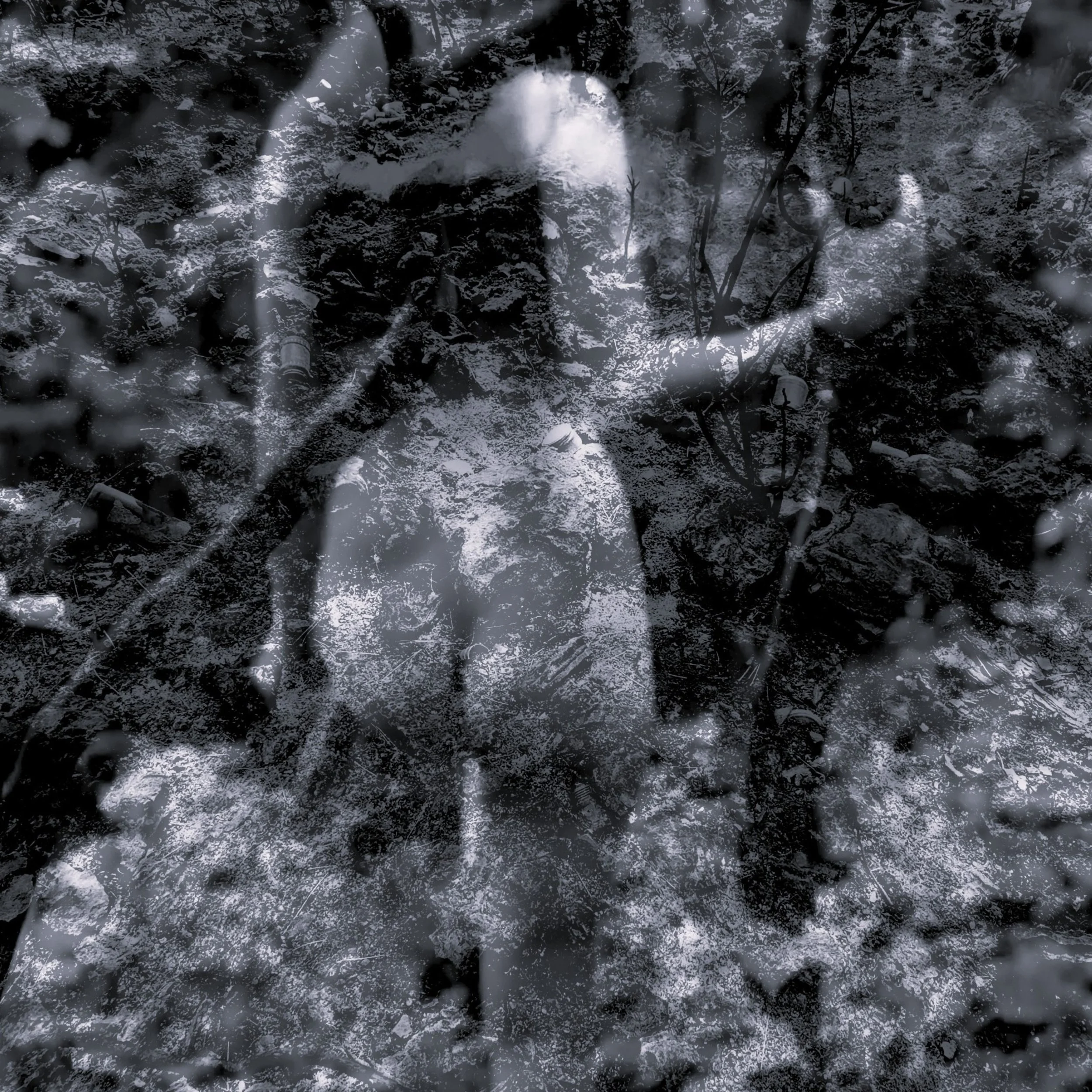 Beauty lingers in the Scar - Videostill - Studio Dentergem