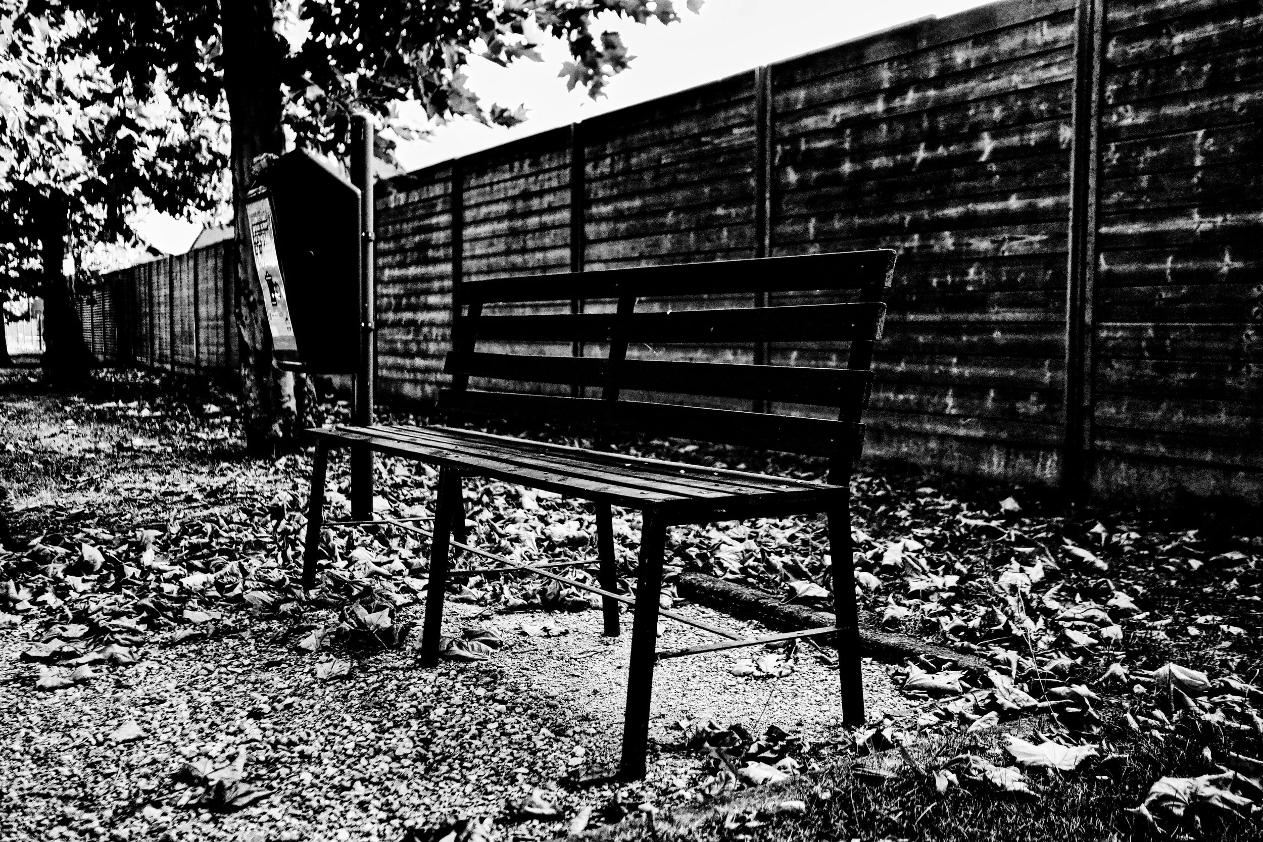 Along the Alley - Dentergem