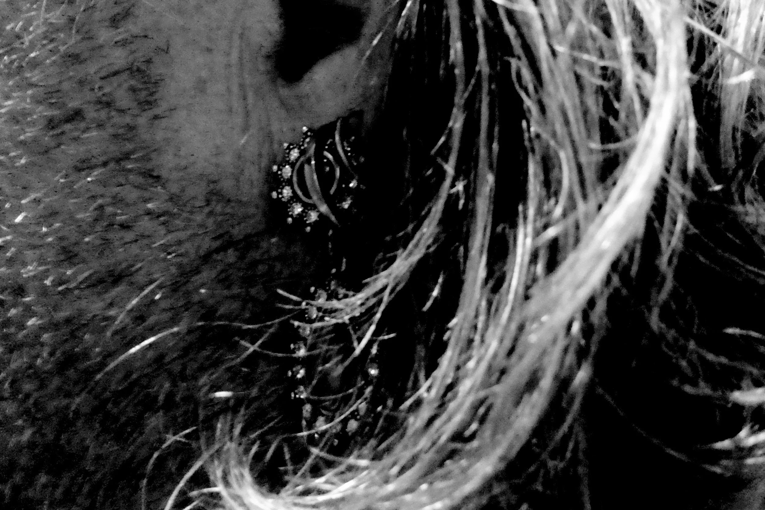 Wearing my Mother's Earring - Studio Dentergem