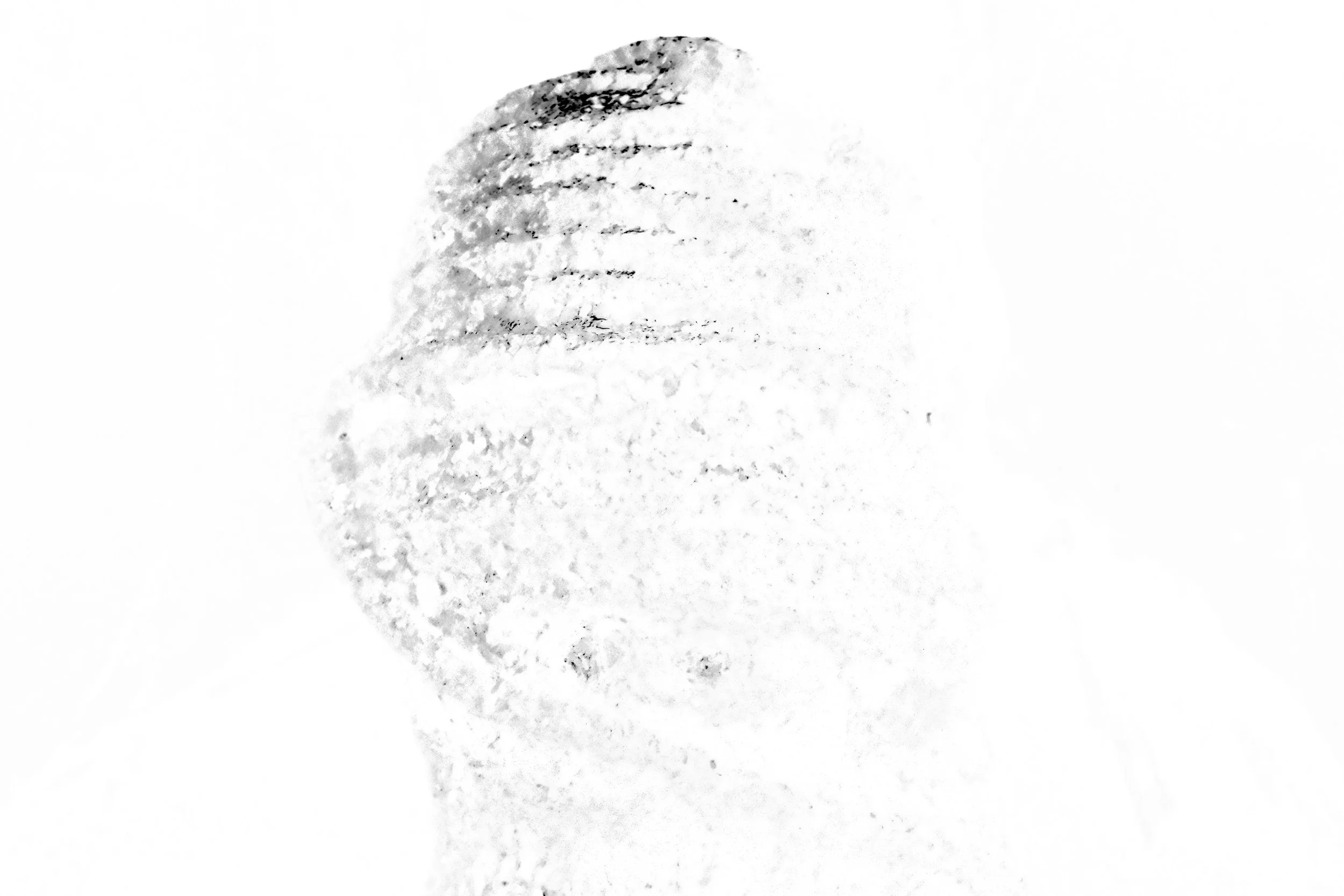 White Photo - Studio Dentergem