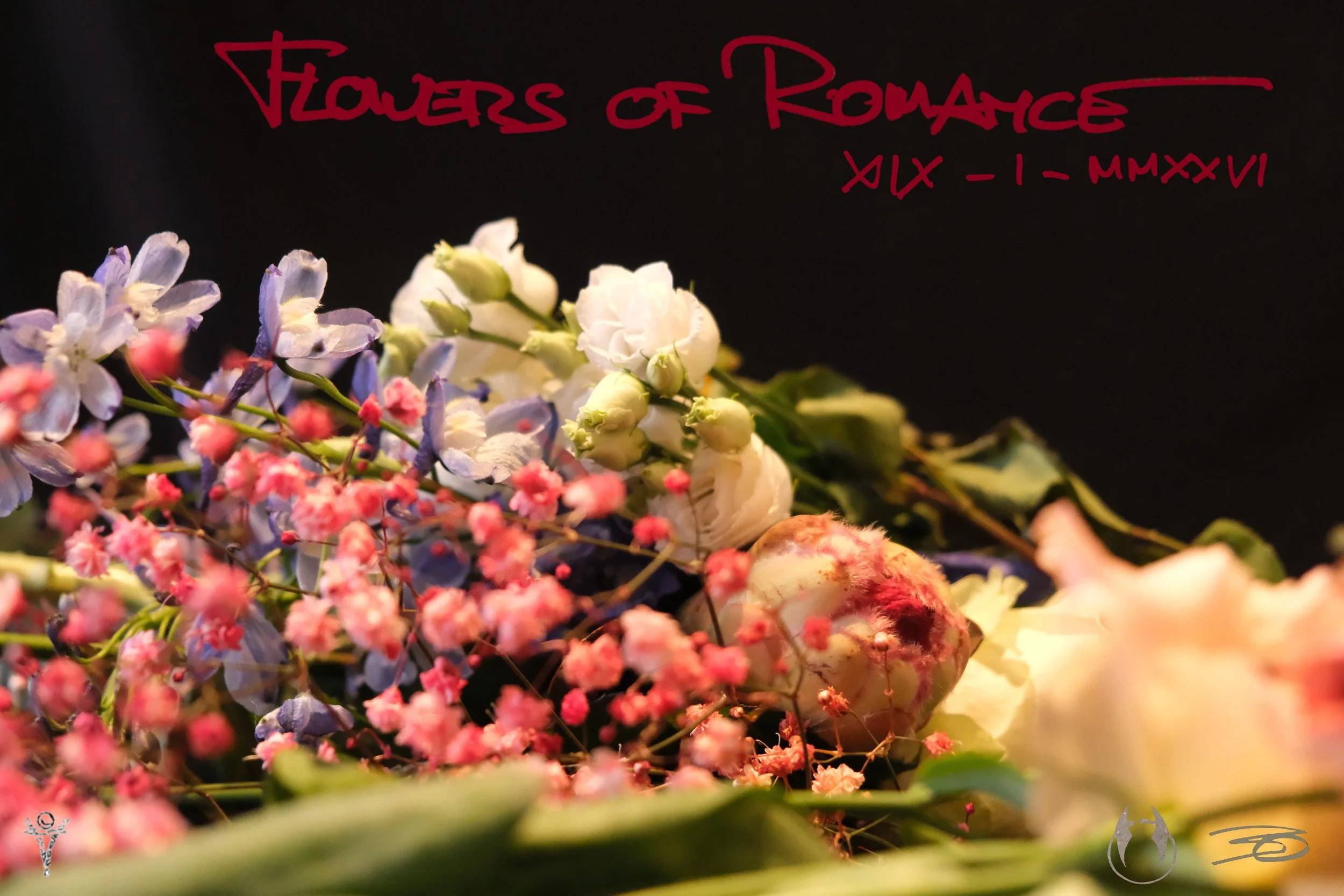 Flowers of Romance XIX-I-MMXXVI