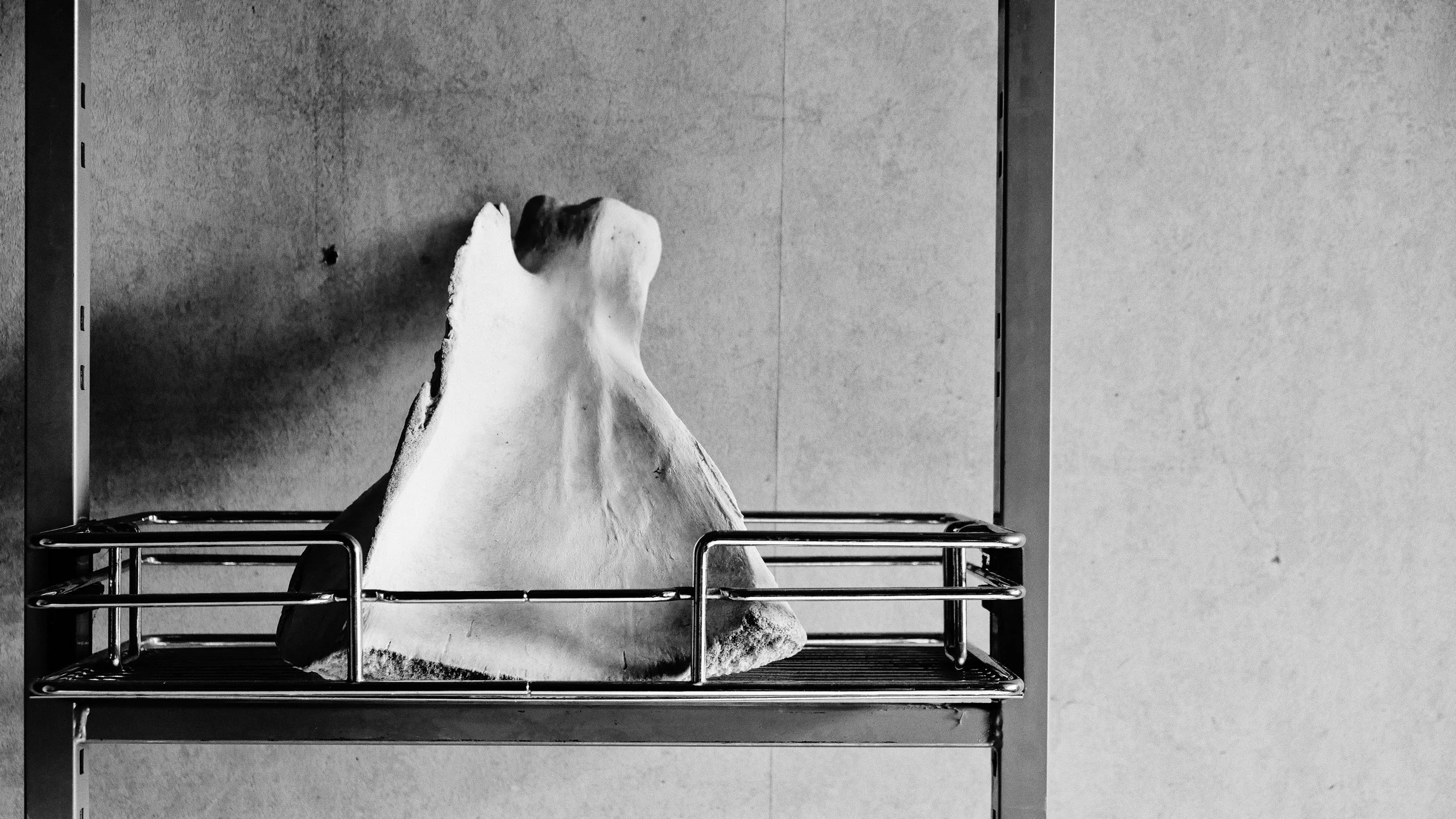 Crime Evidence - Bone in Storage - Studio Dentergem