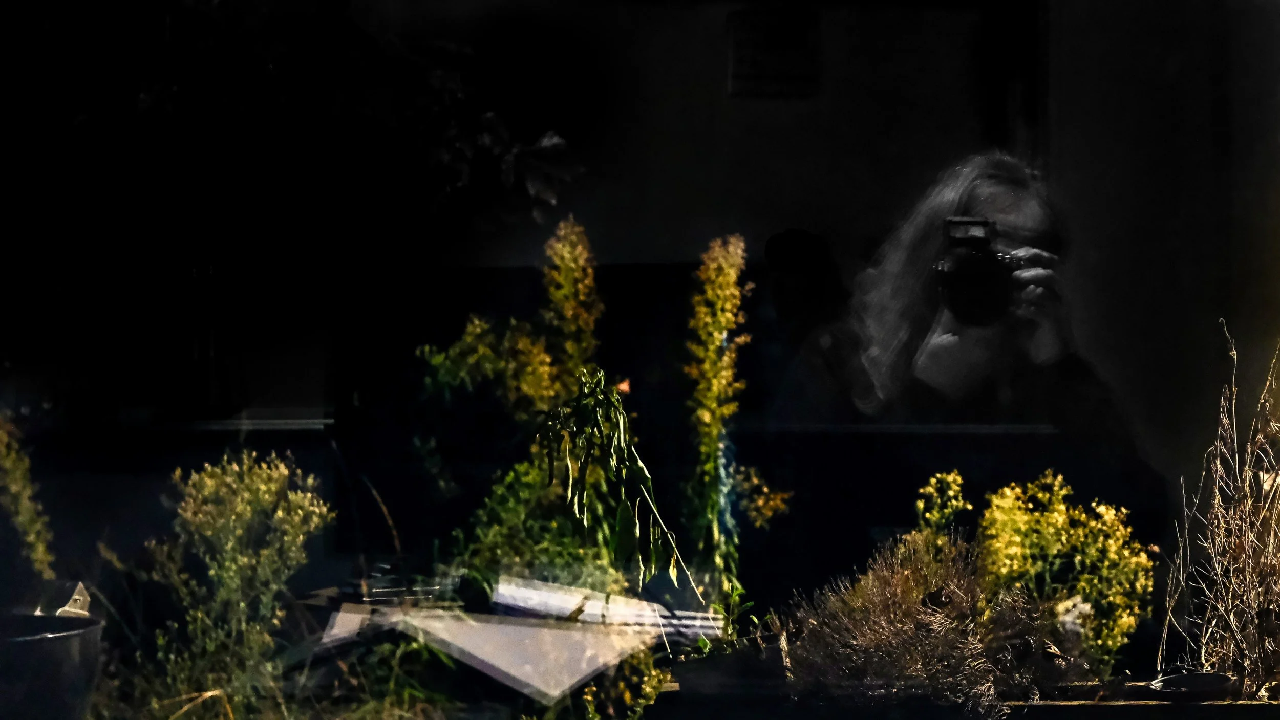 Photographing the Garden at Night from inside the Kitchen - Dentergem