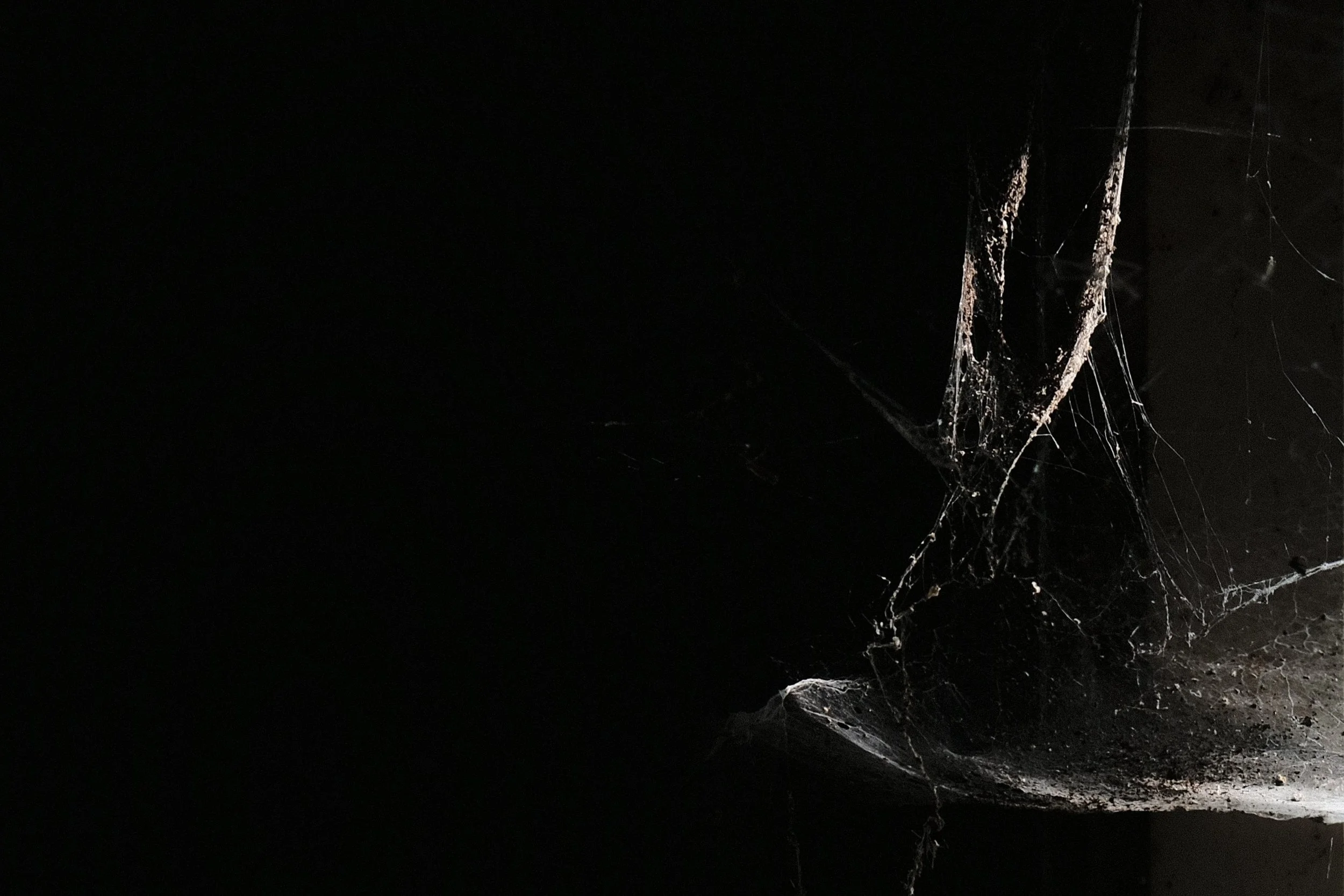 Spider Web - Take #5 - od'us shoot - Dentergem