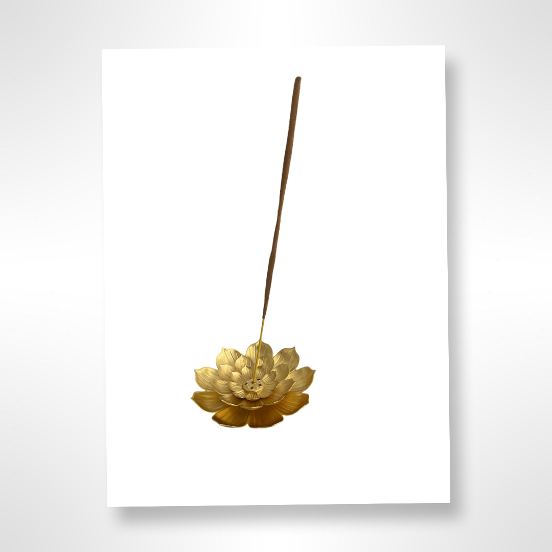 IMG_0365.png