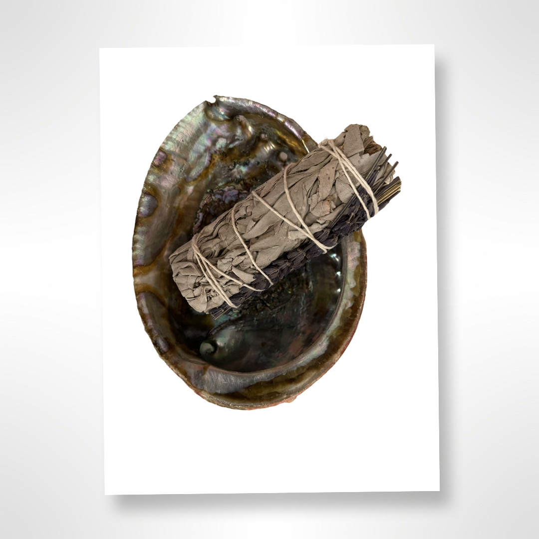 White Sage with Abalone Shell Set
