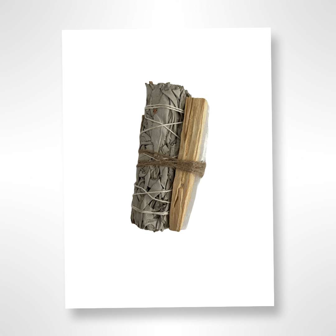 IMG_0385.png