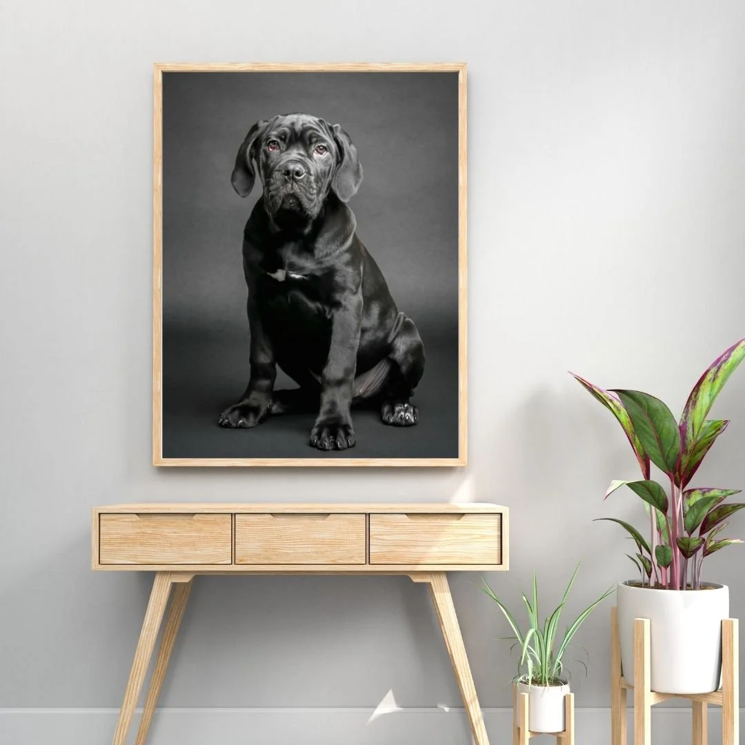 Light Grey 3D Interior Wall Frame MockupDaisy.jpg