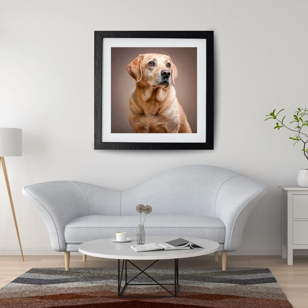 Grey Interior Wall Frame Molly.jpg