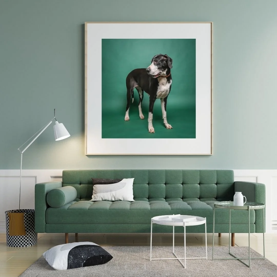 Soft Green 3D Illustration Wall Frame Mockup GDANEGREEn.jpg