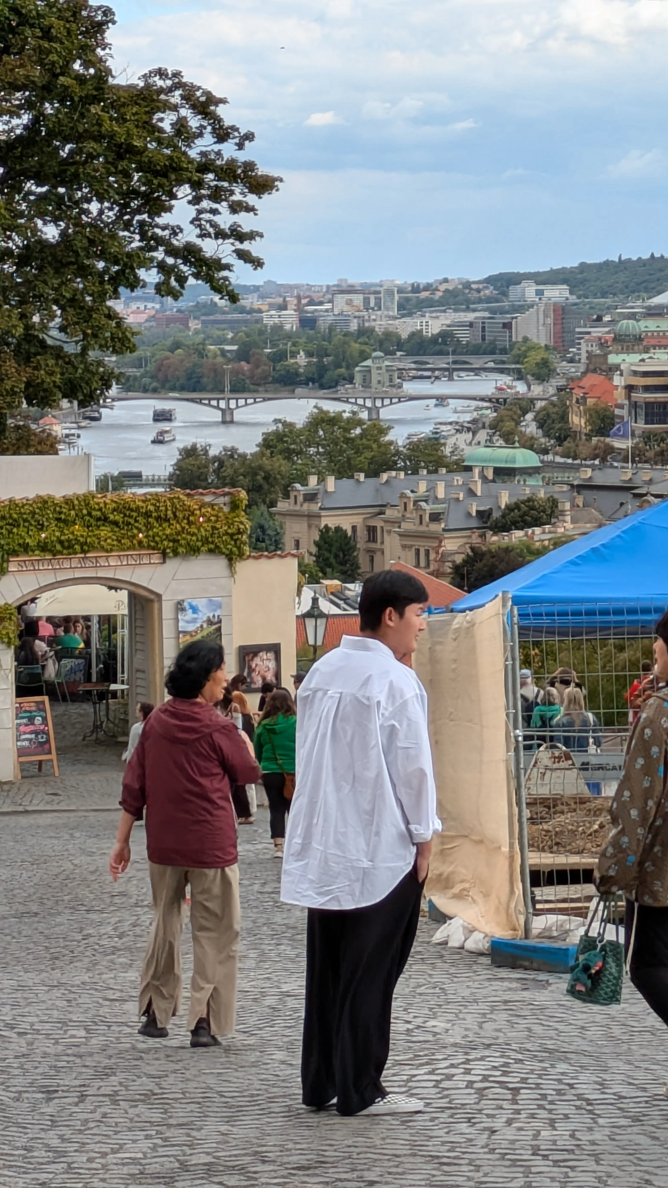 View looking down a hill toward a river with 3 bridges and buildings on either side.