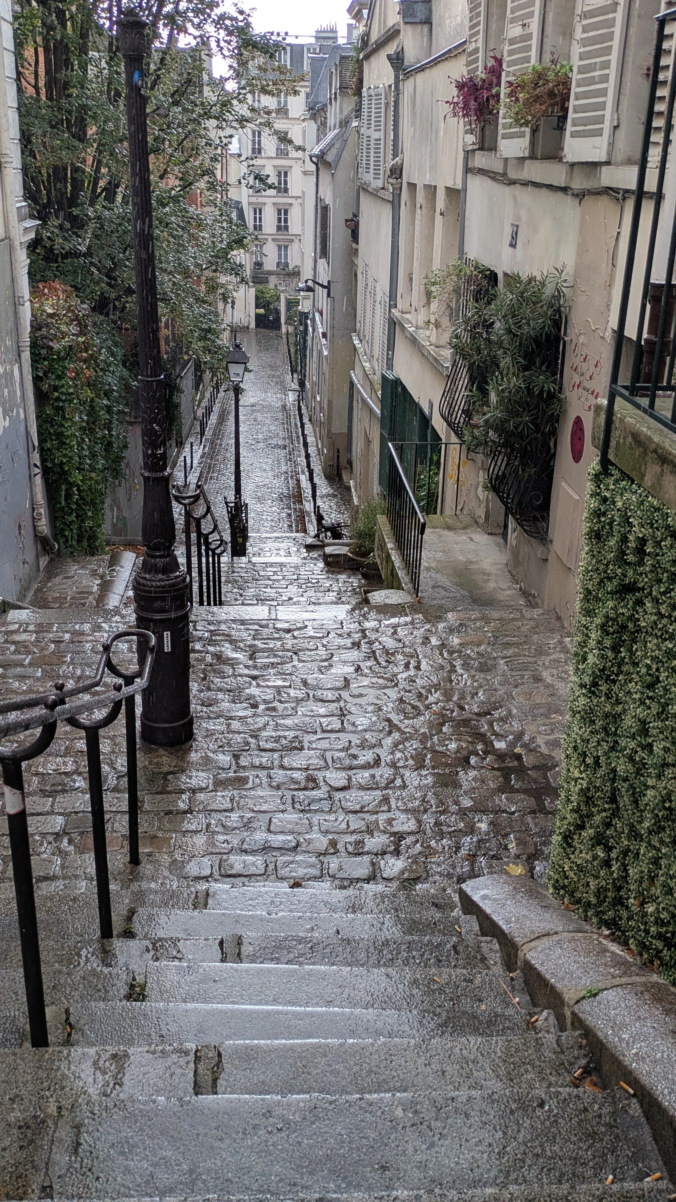 View down some wet cobblestone stairs of a narrow street with lampost and plants in balcony windows.
