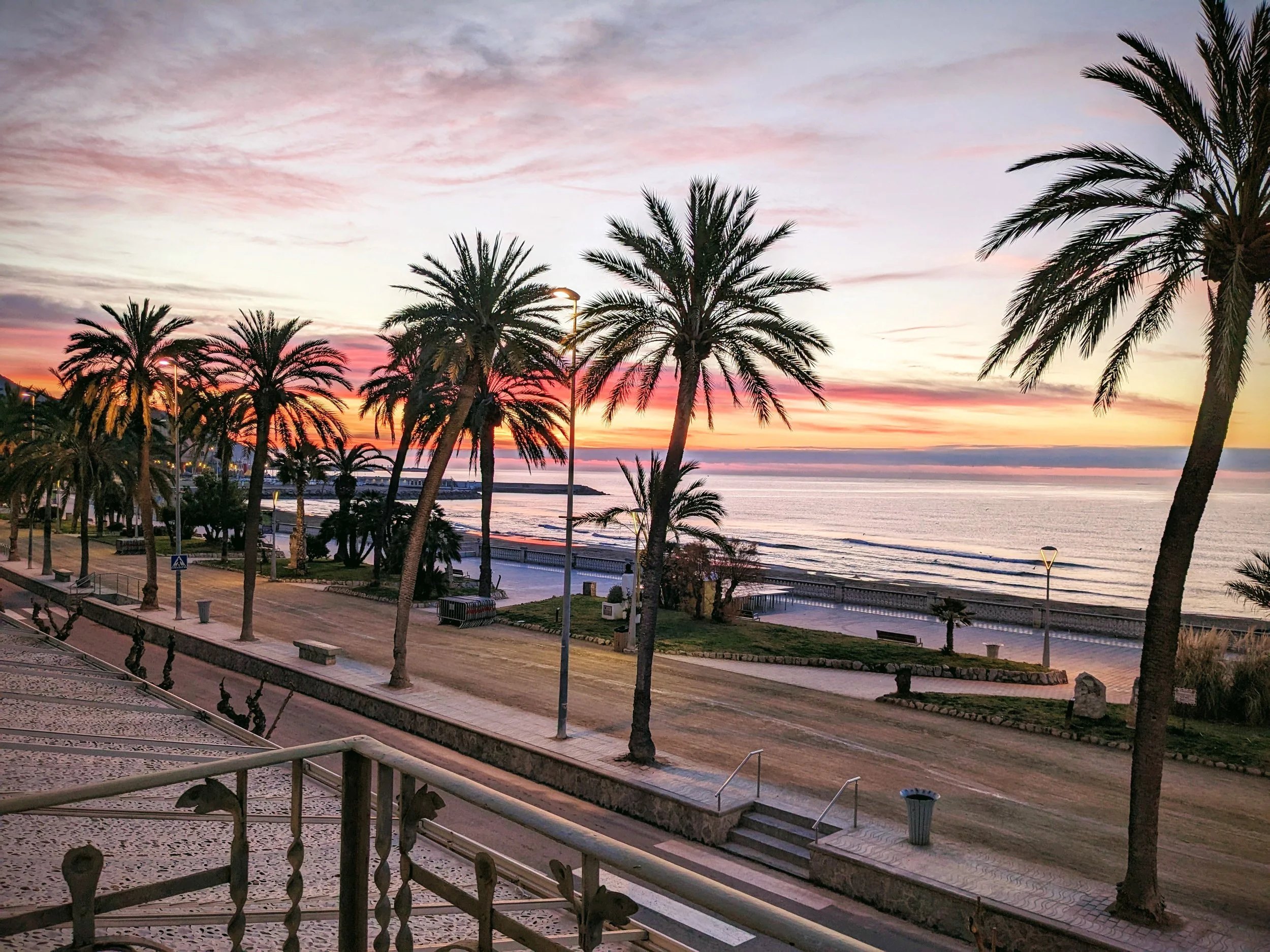 View of coastline at sunset. Palm trees in foreground.