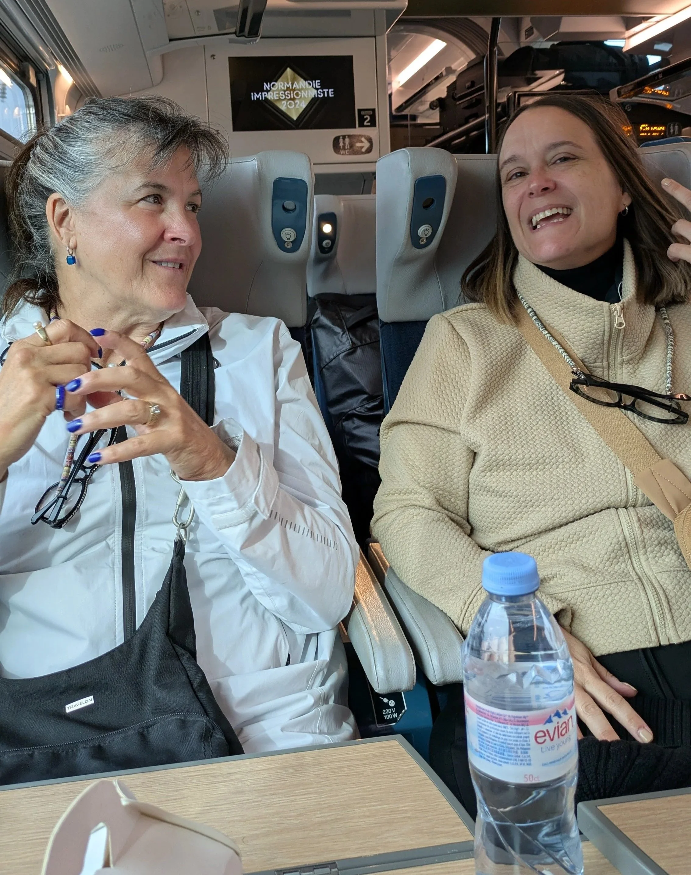 Two smiling women on a train, wearing jackets and glasses around their necks.