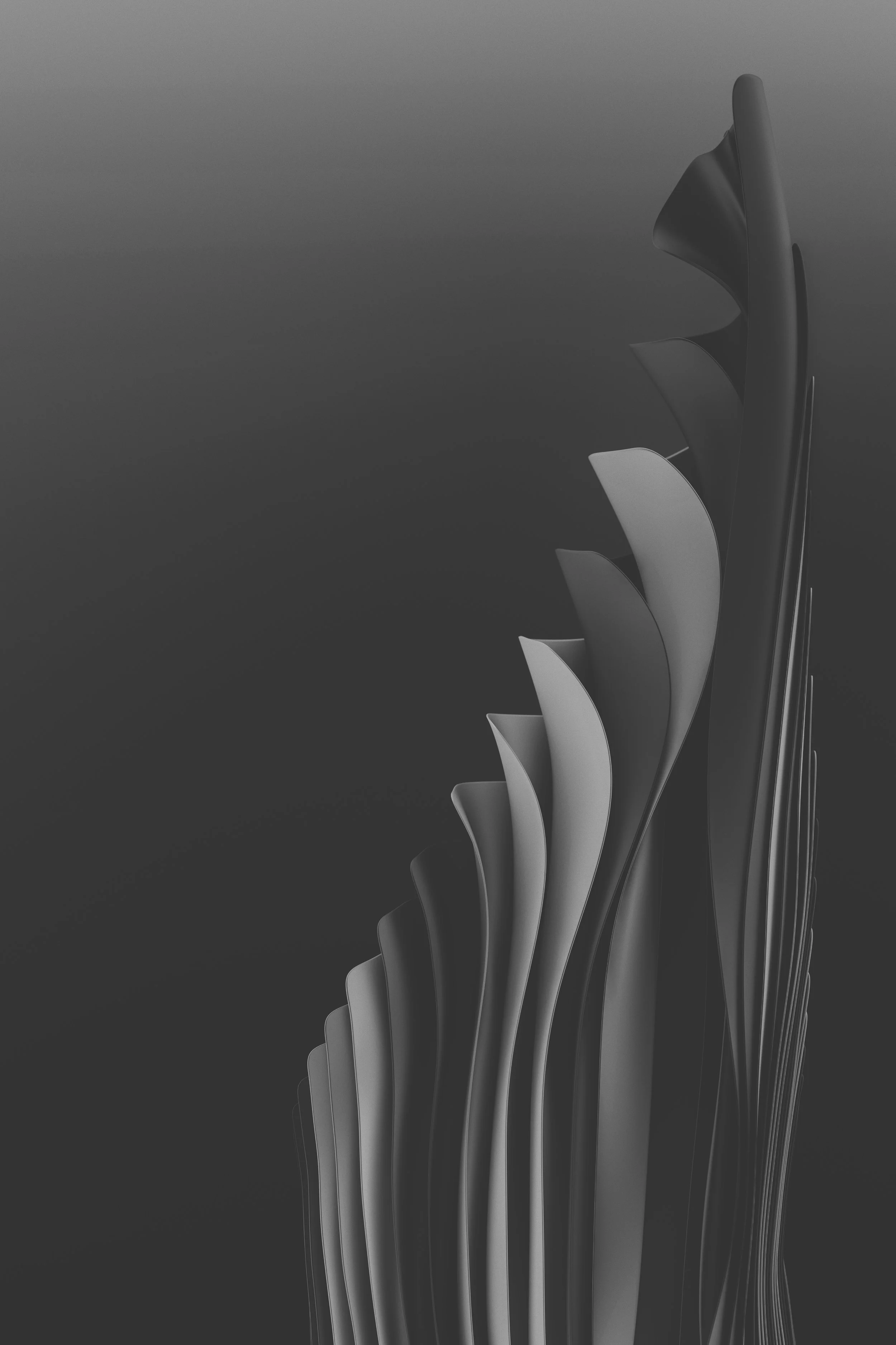 Abstract black and white design with curved, layered shapes against a gradient background.