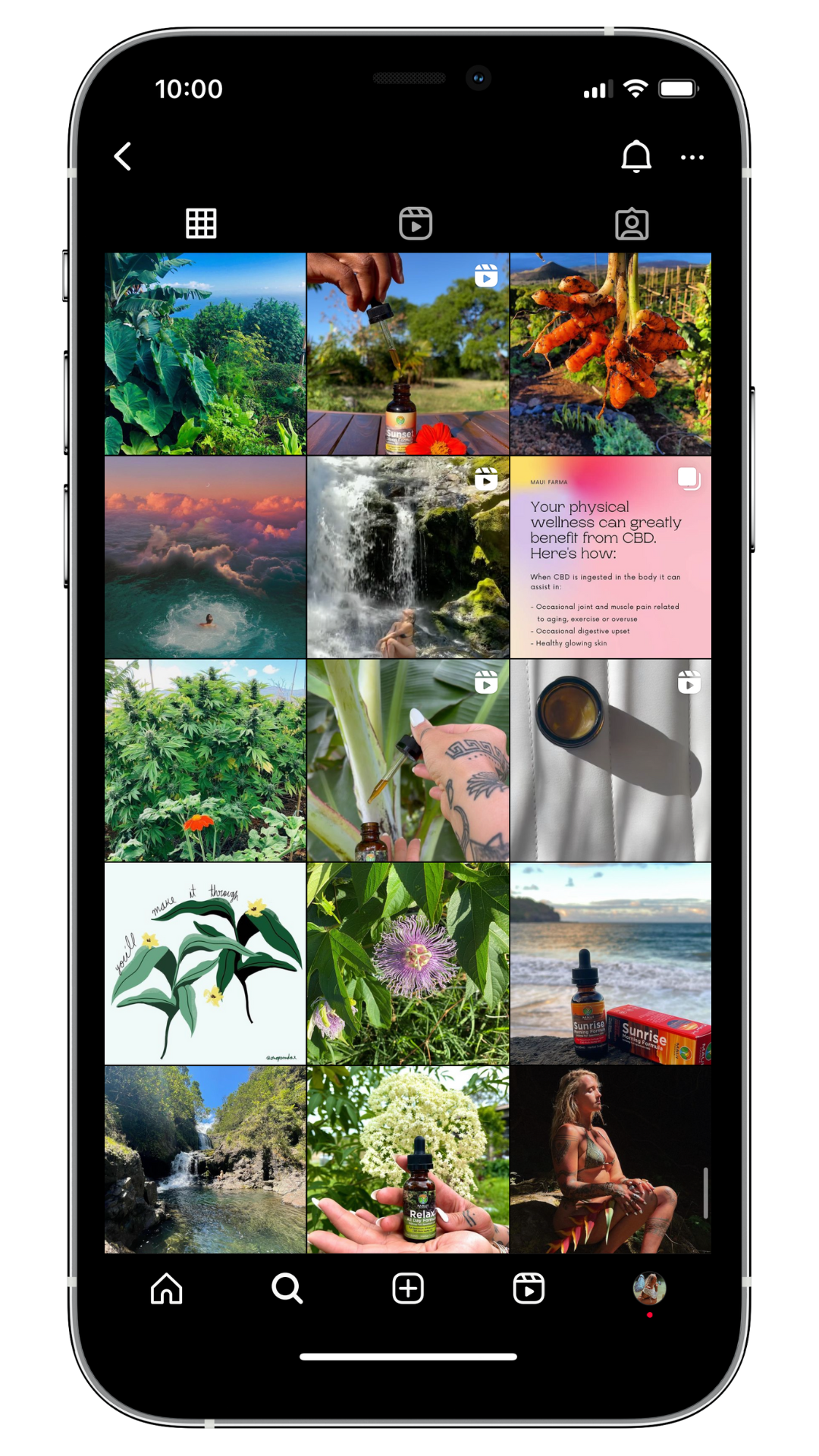 Instagram grid showing images of plants, waterfalls, a person swimming, CBD products, and a beach. A pink text post highlights CBD wellness benefits.
