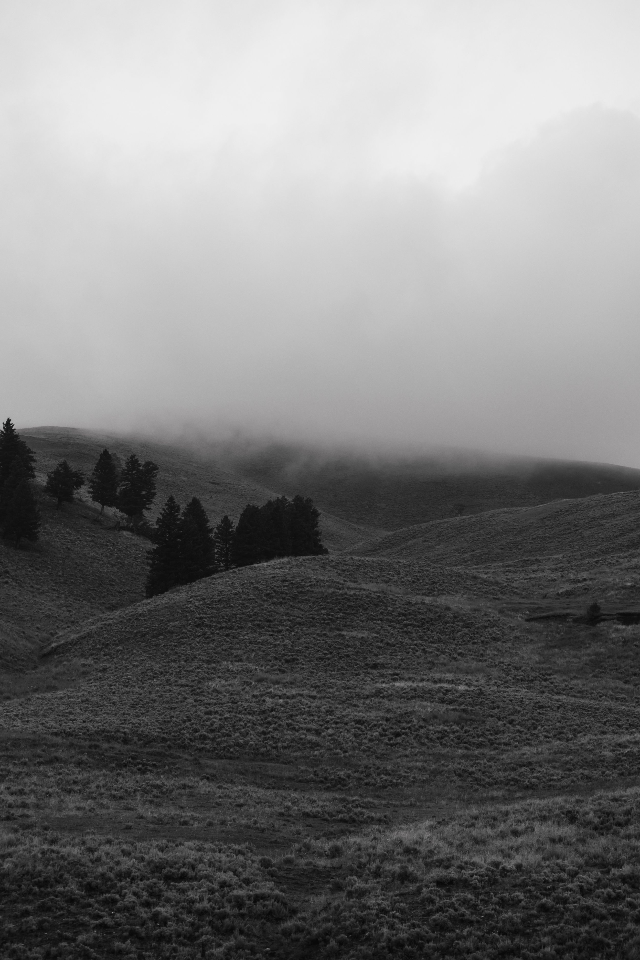 Park Narodowy Teodora Roosevelta