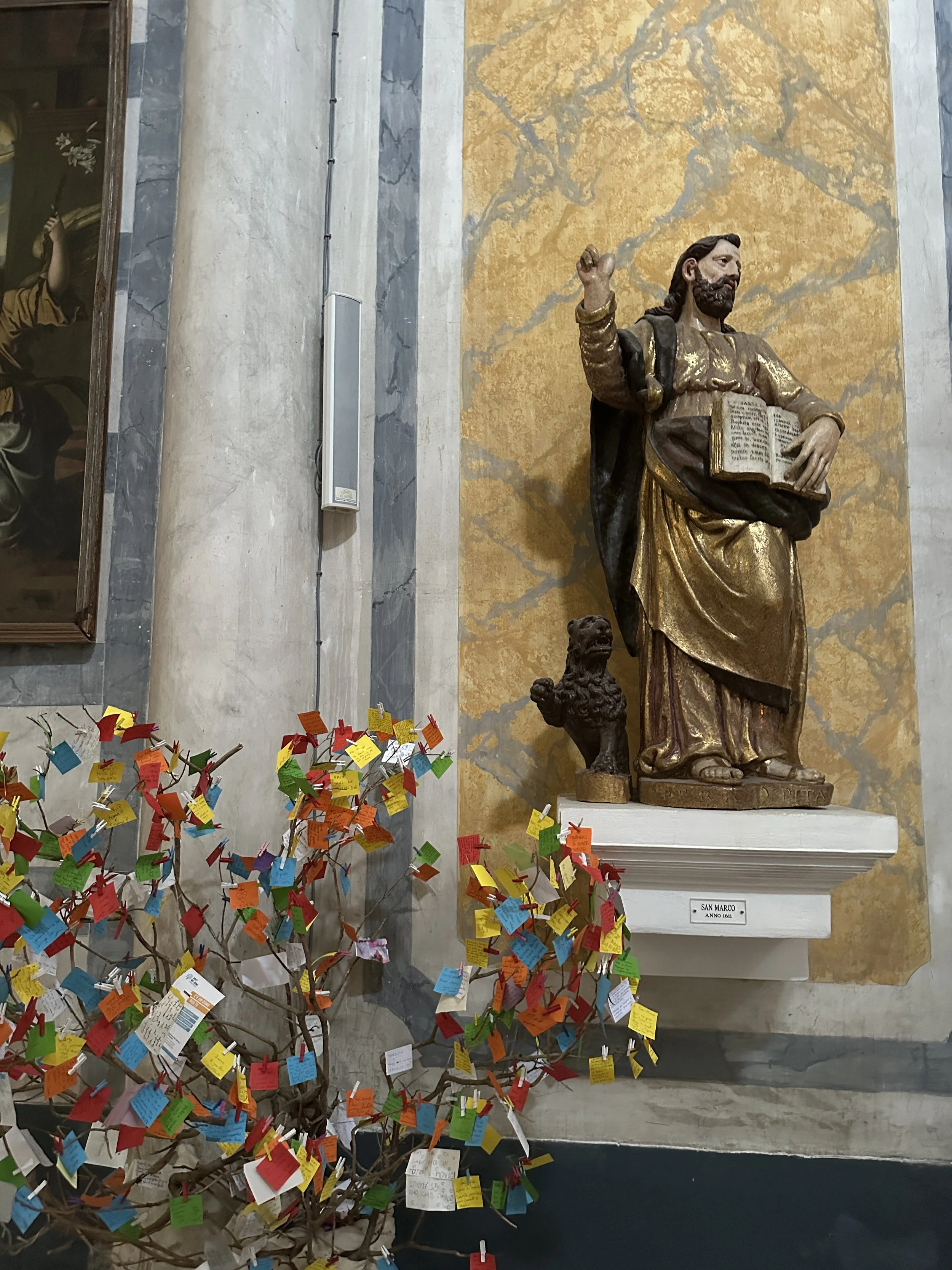 IMG_1080.jpeg