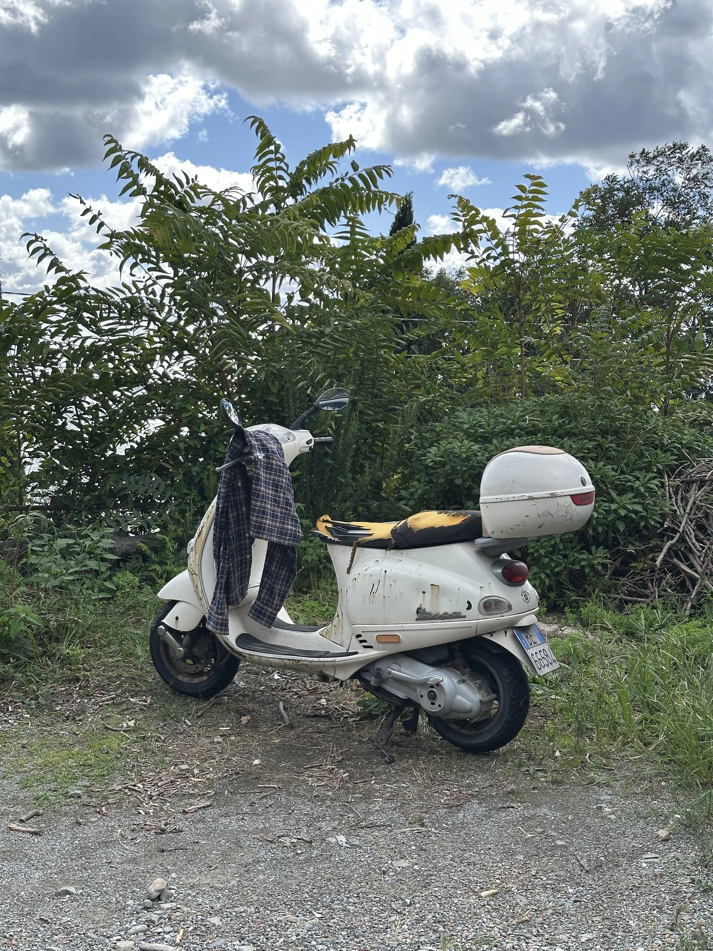 IMG_1061.jpeg