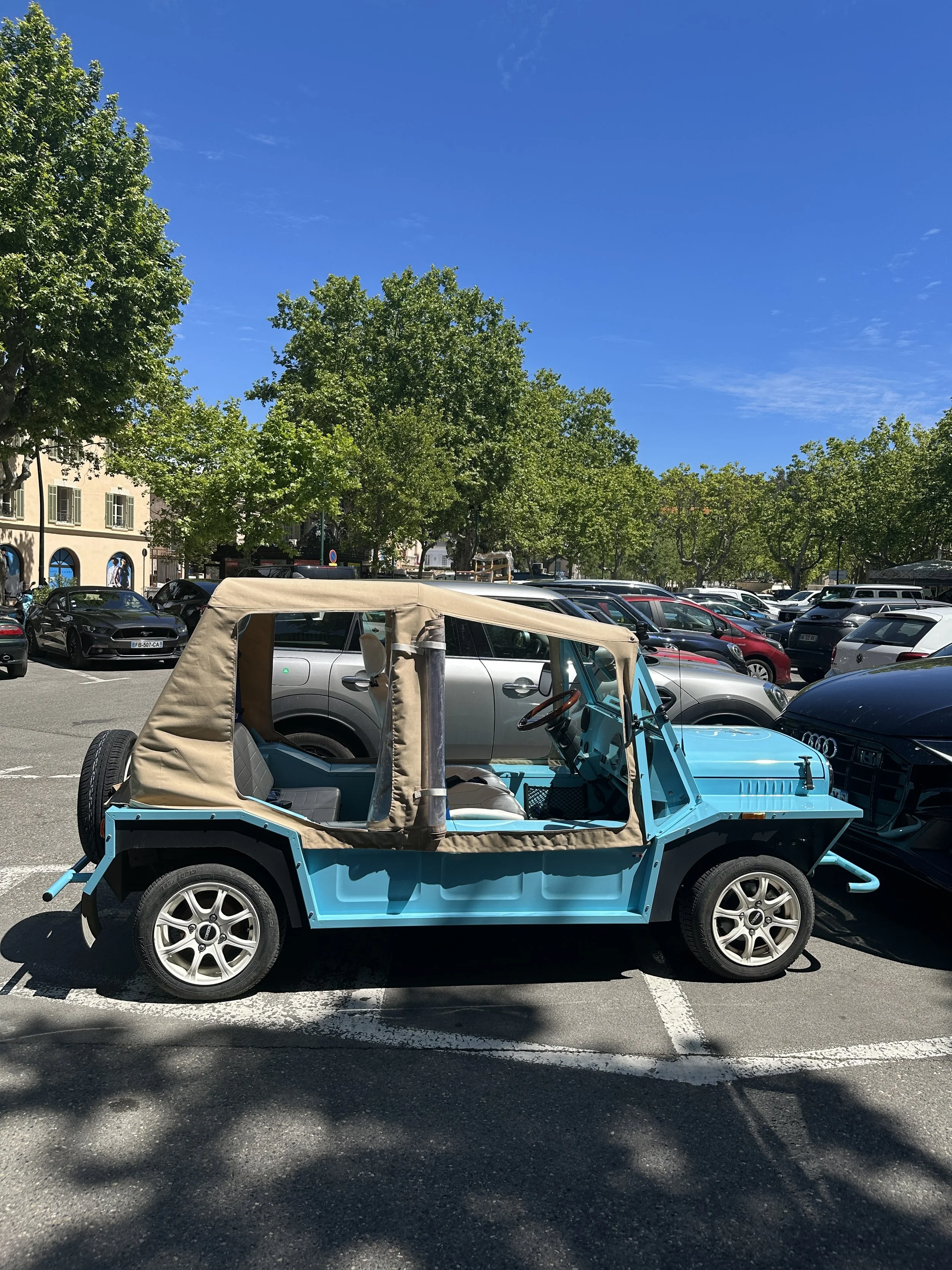 IMG_7319.jpeg