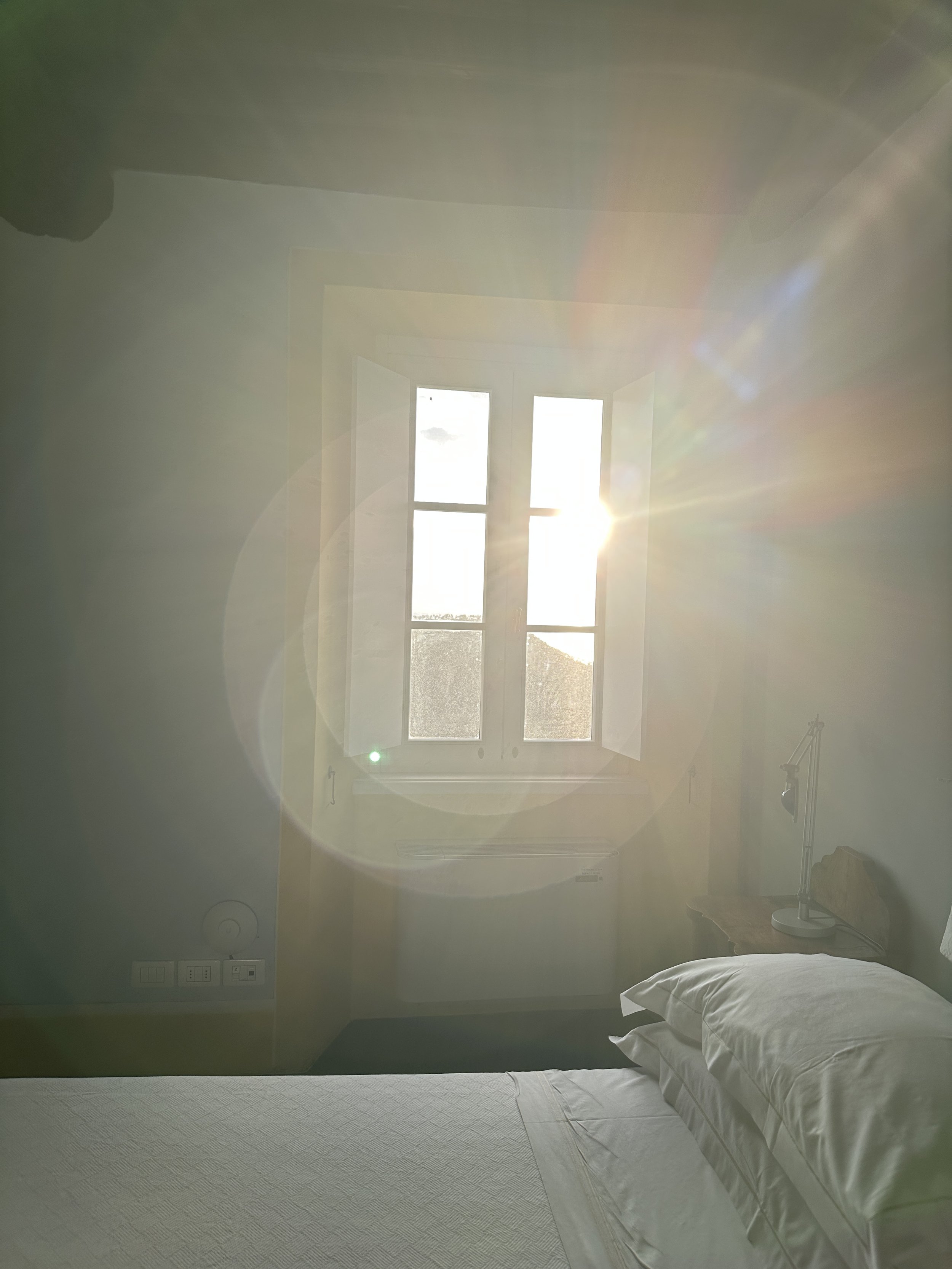 IMG_0742.jpeg