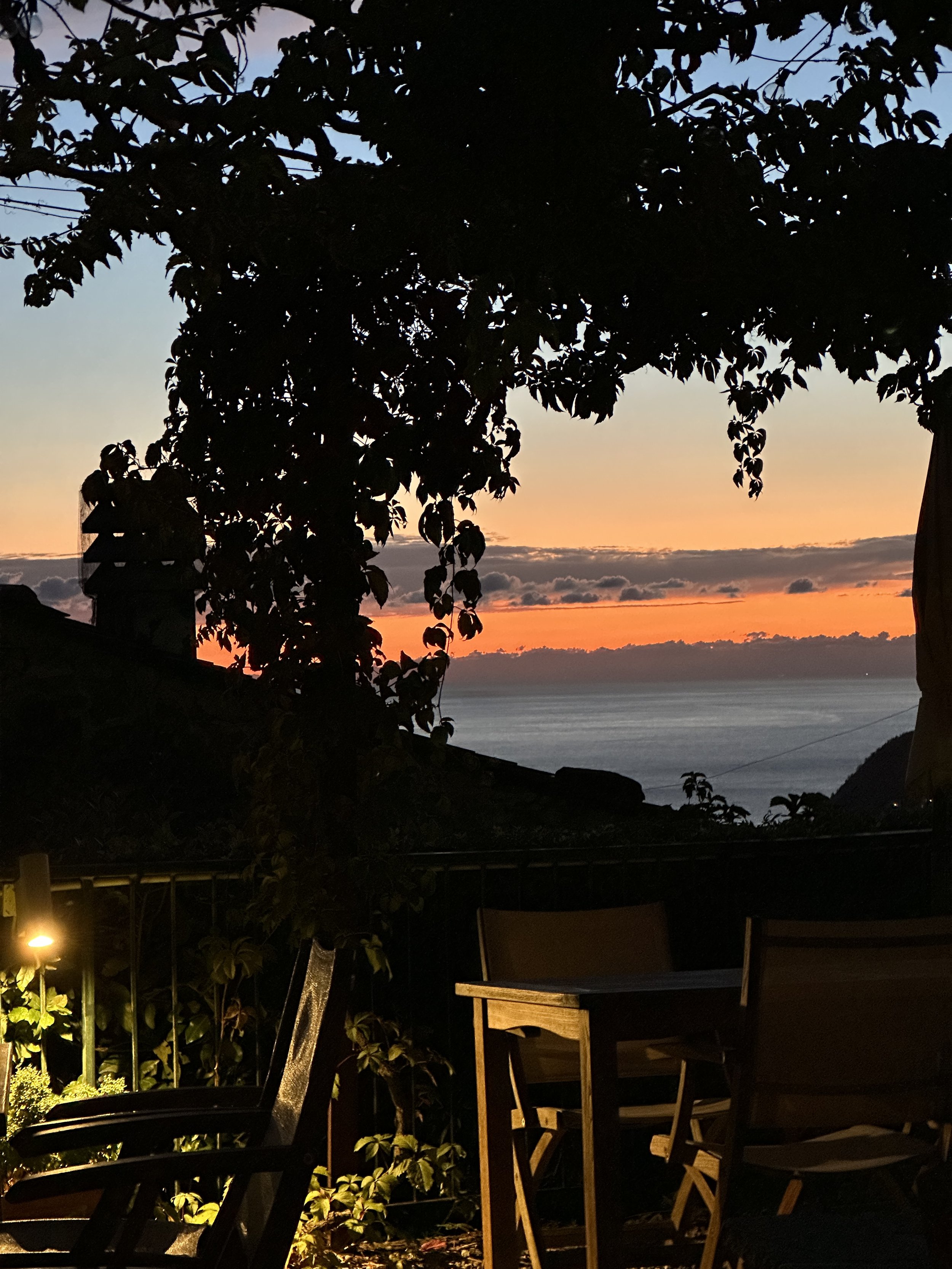 IMG_0802.jpeg
