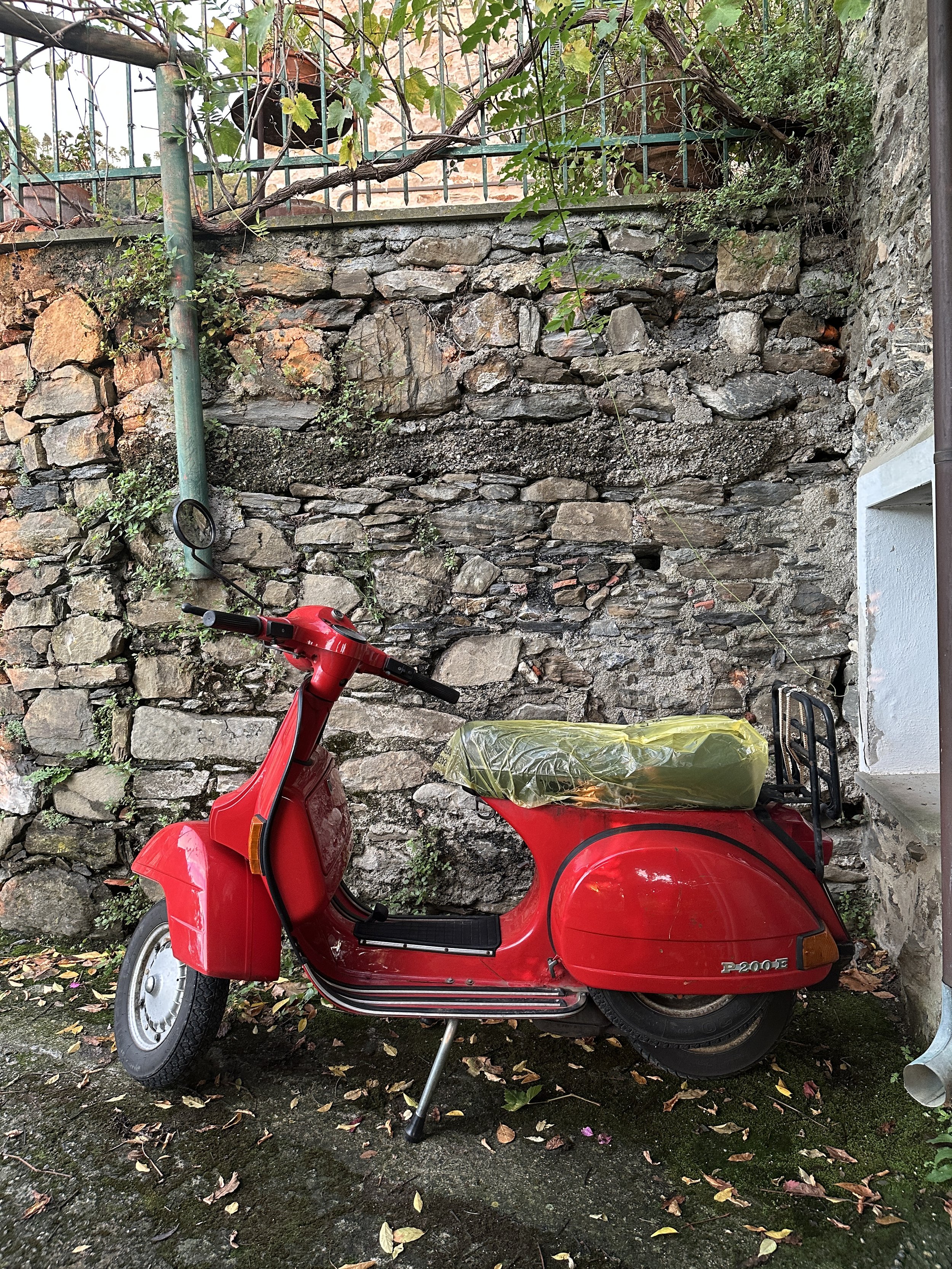 IMG_0786.jpeg