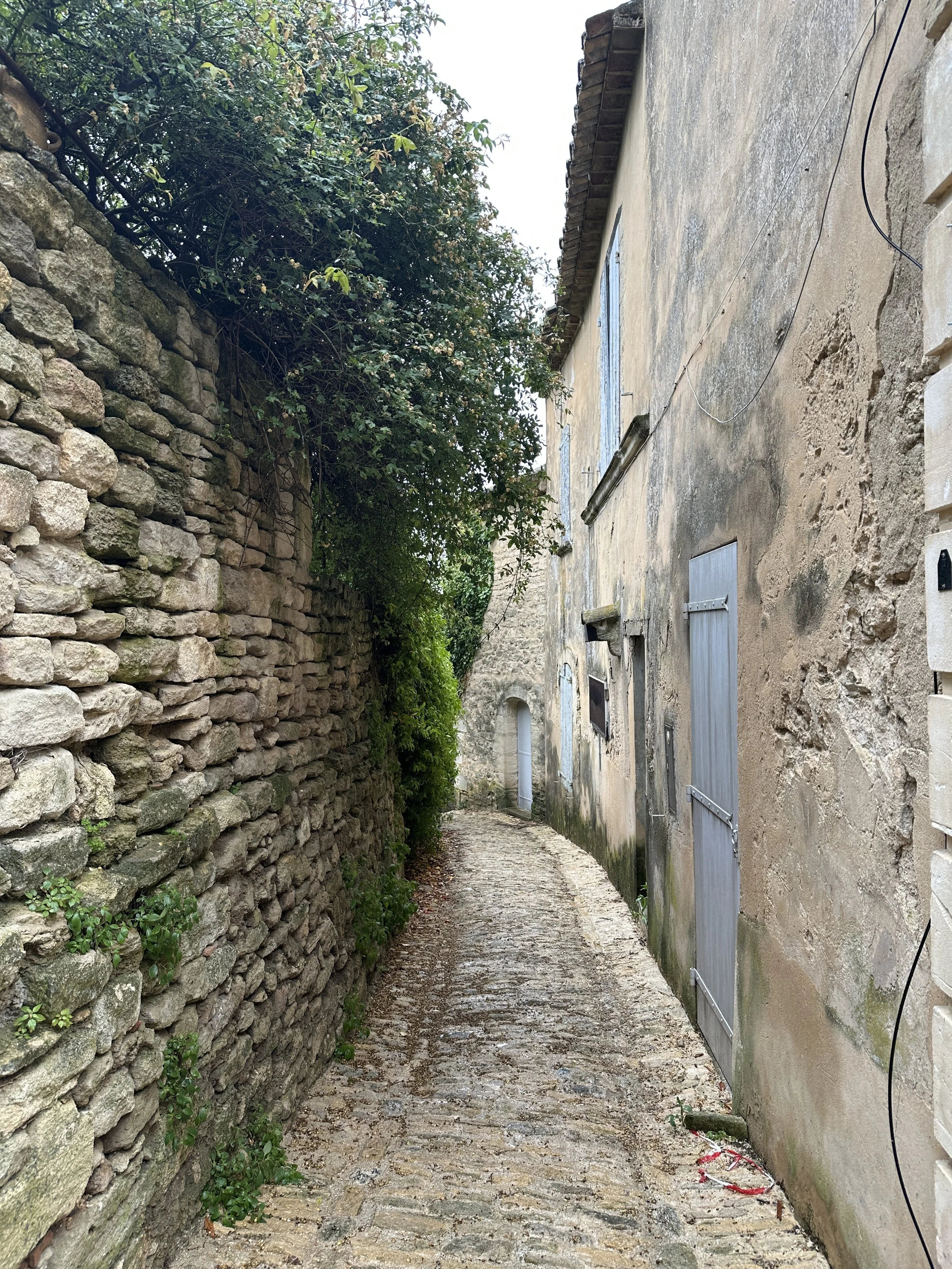 IMG_7045.jpeg