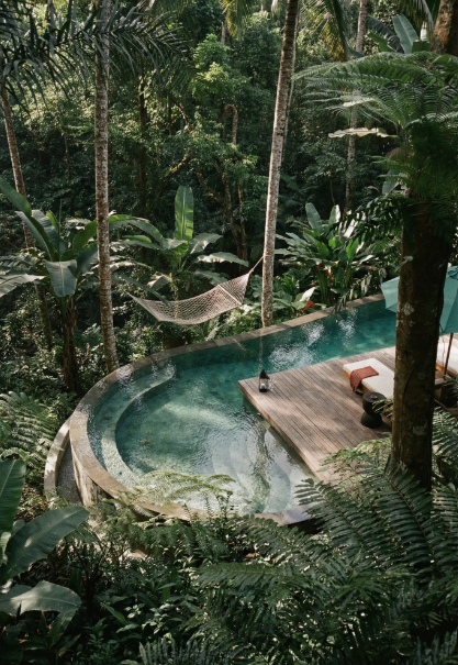 Luxury jungle resort with a private pool surrounded by lush tropical trees and plants, featuring a wooden deck with lounge chairs and a hammock.