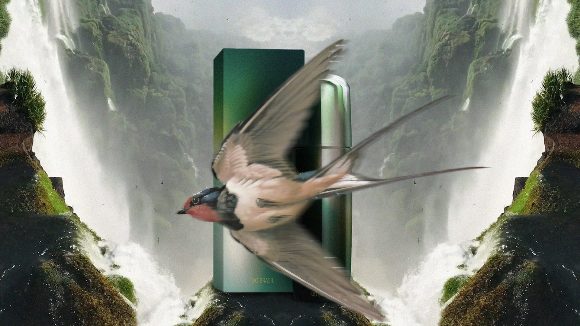 Ein Vogel fliegt vor einem Wasserfall mit Pflanzen und Felsen im Hintergrund, im Vordergrund befindet sich eine Green Screen Box.