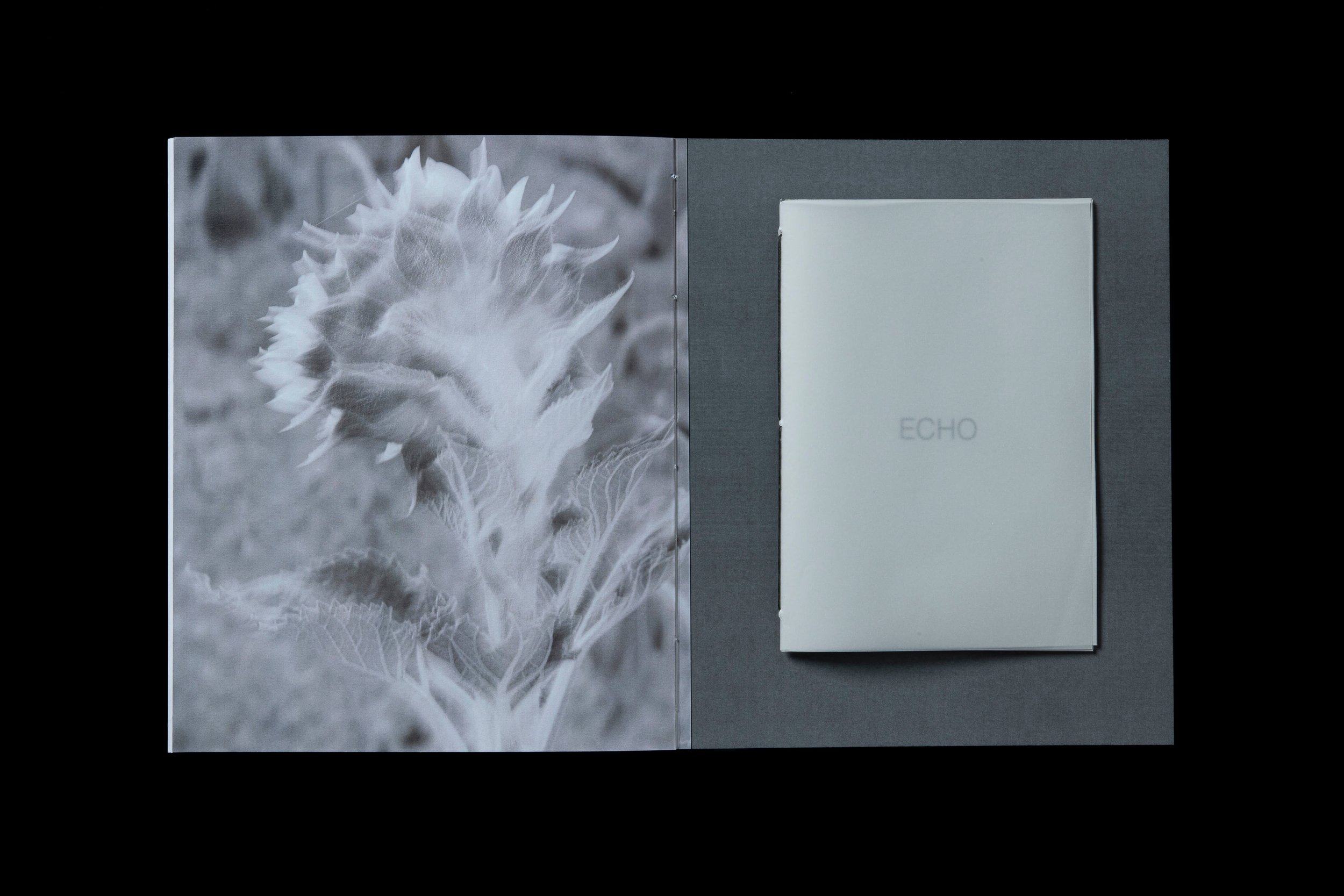 ECHO-RWAN-26.jpg