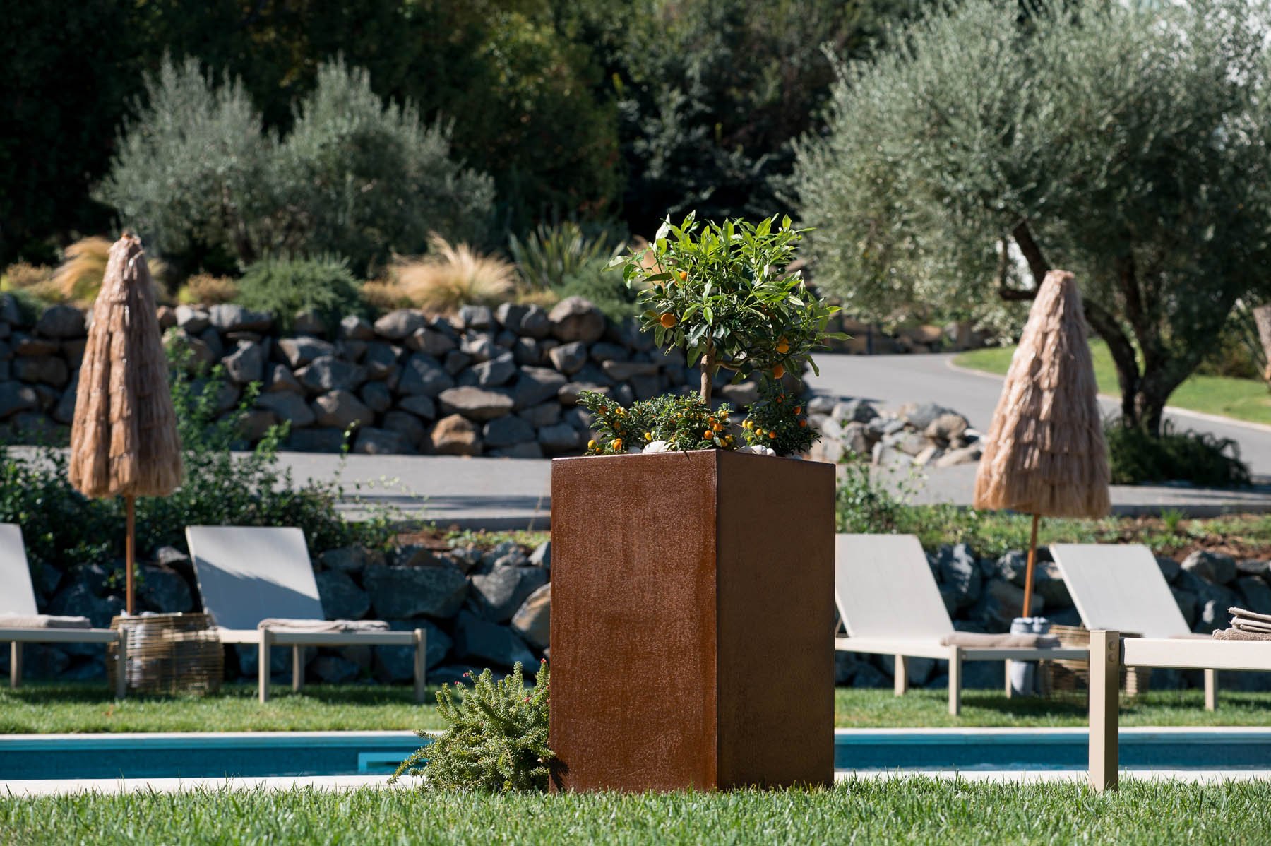 Giardino con piscina, sdraio, ombrelloni di paglia e una grande pianta in vaso quadrato di metallo. Sullo sfondo, muri di pietre e alberi.