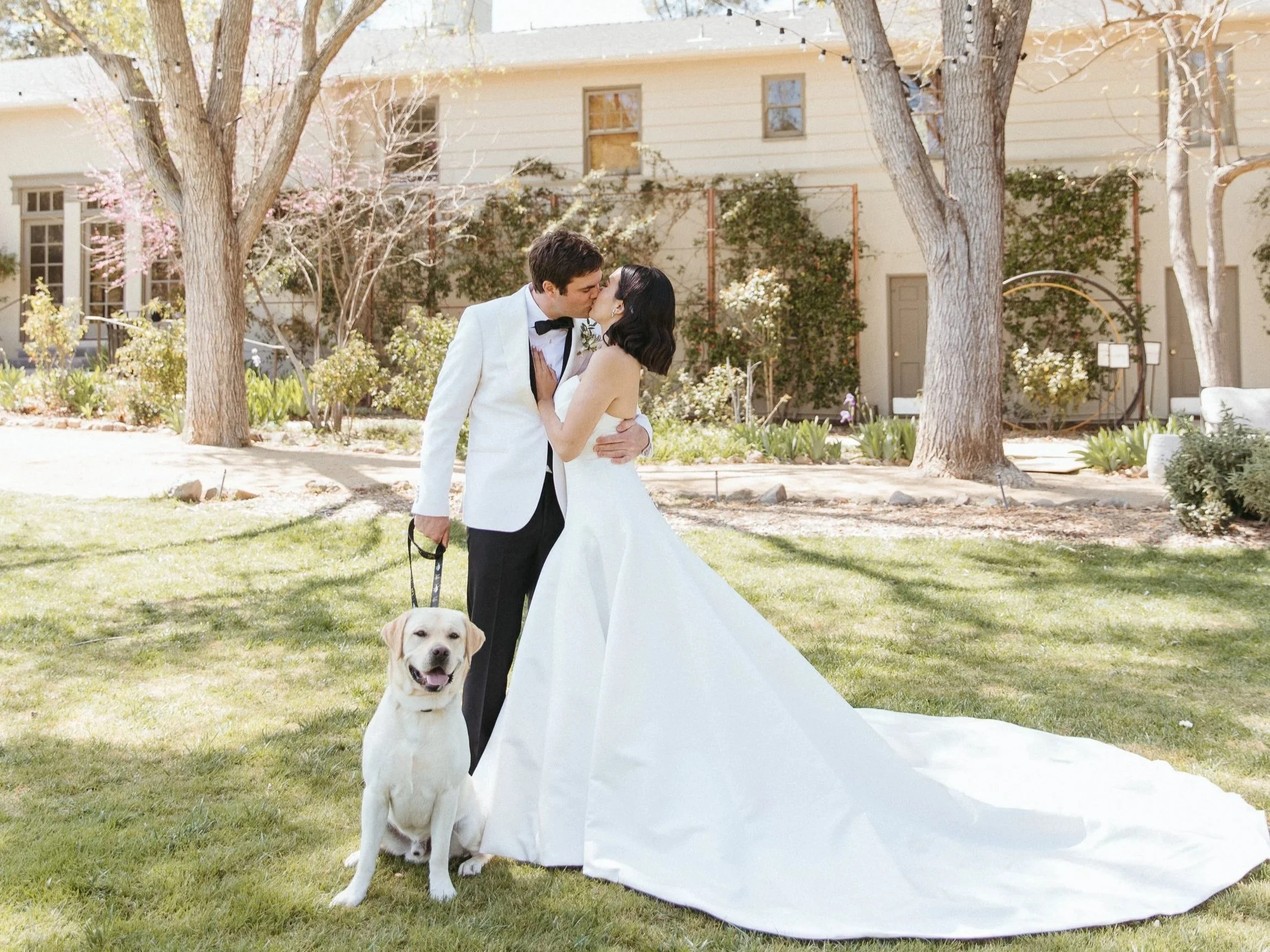 A bride and groom kissing outdoors with a white wedding dress, tuxedo, and a large yellow Labrador retriever puppy in the foreground, and a garden setting with trees and a house in the background.