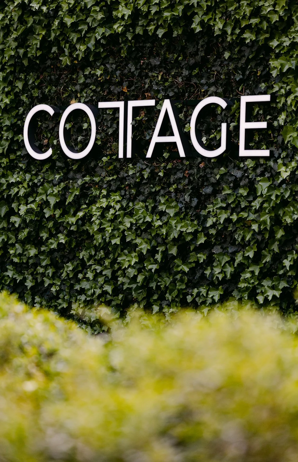 COTTAGE-471.jpg