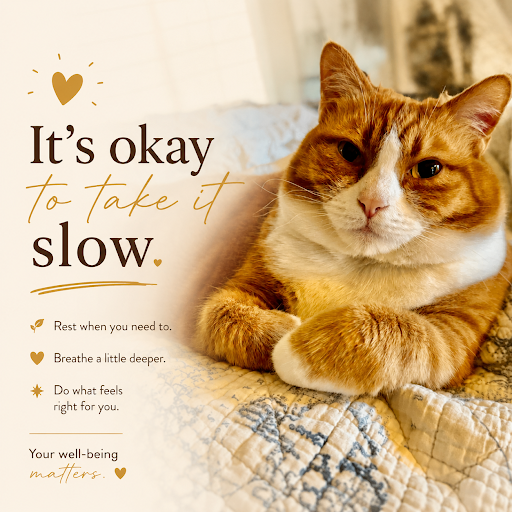 Taking Things Slow