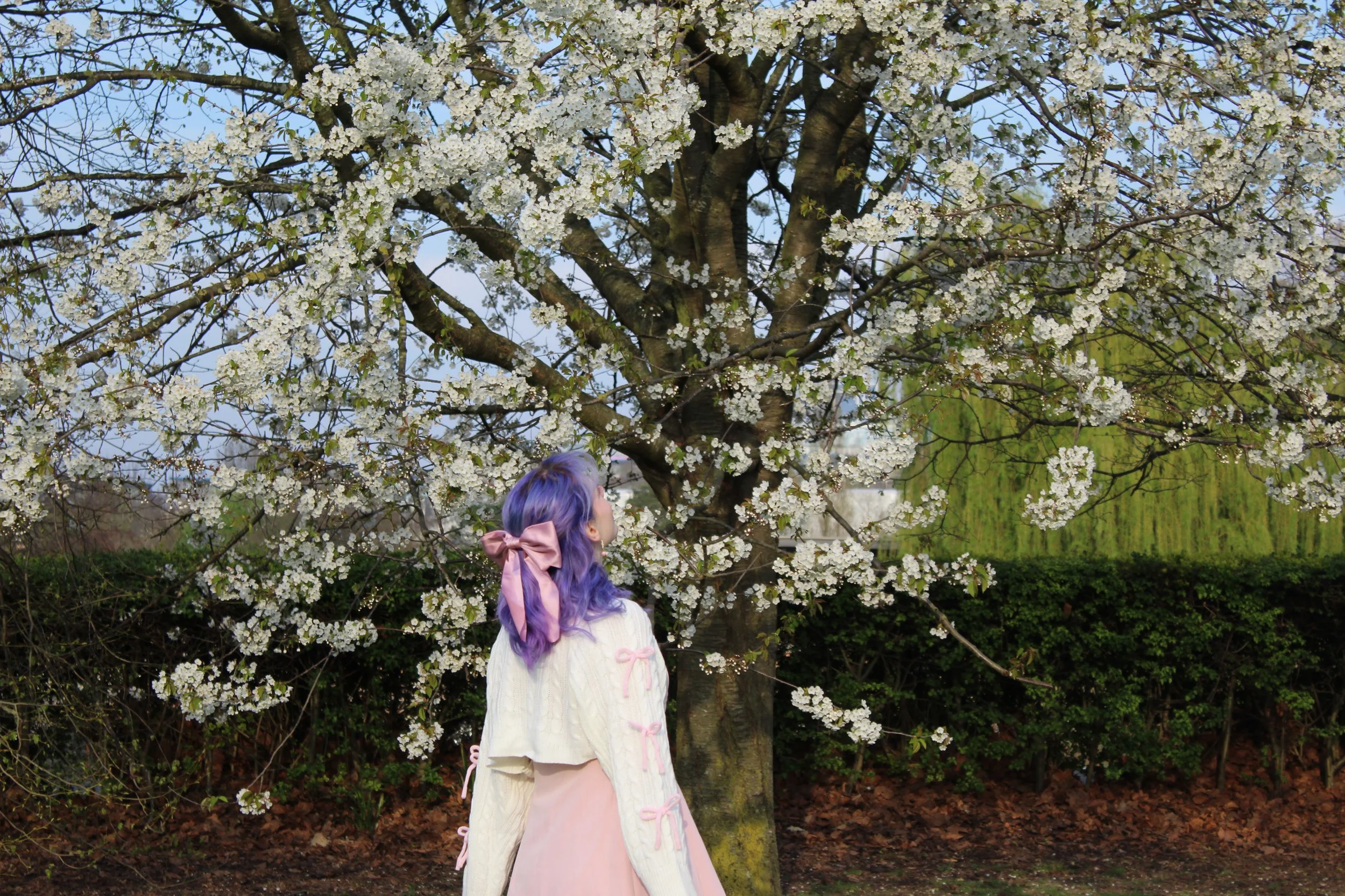 A person with purple hair wearing a light pink dress and a cream-colored cardigan with pink bows, standing under a large blossoming tree with white flowers. The background includes green bushes and a blue sky.
