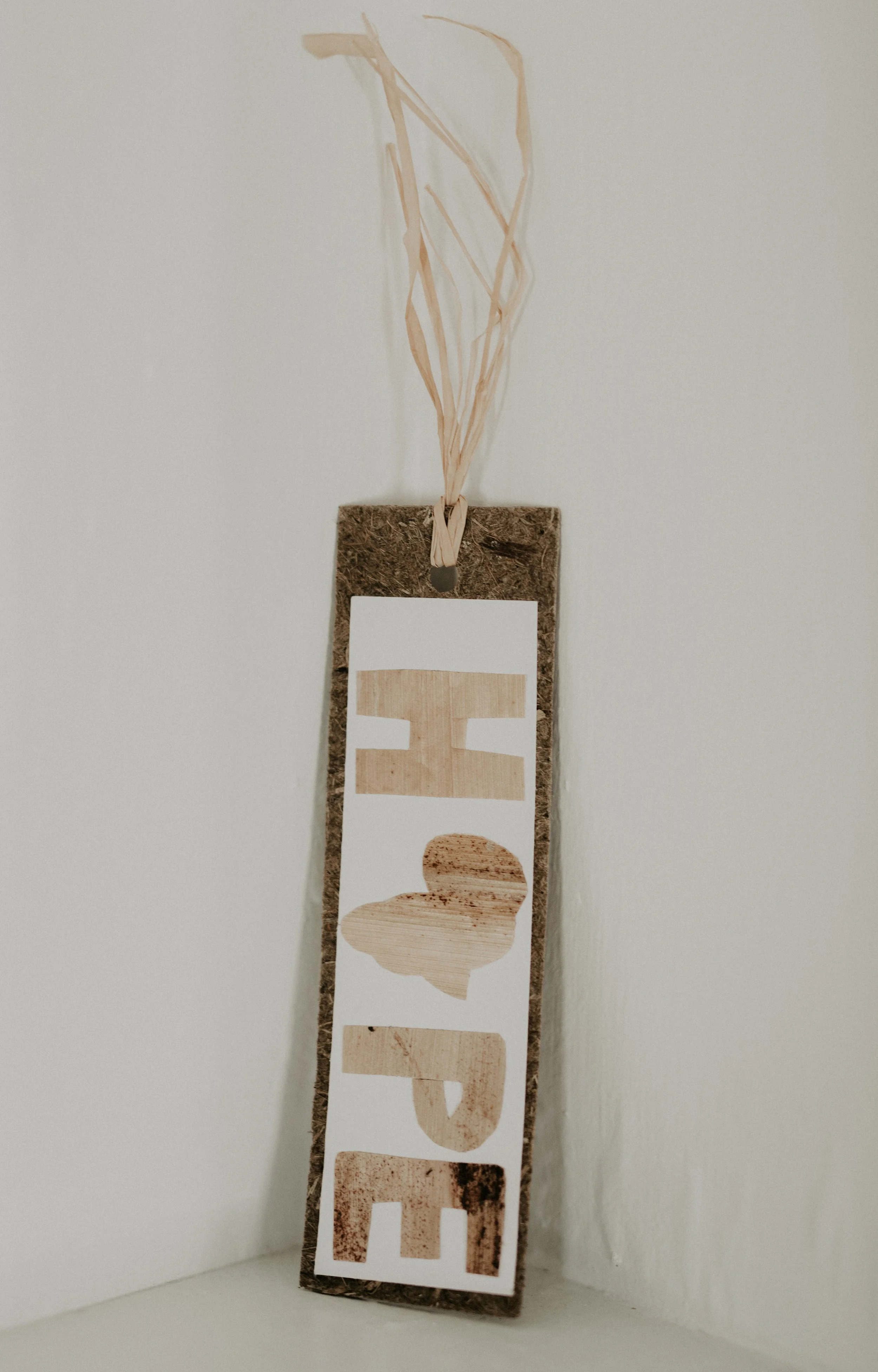 Bookmark - Africa Hope.jpg