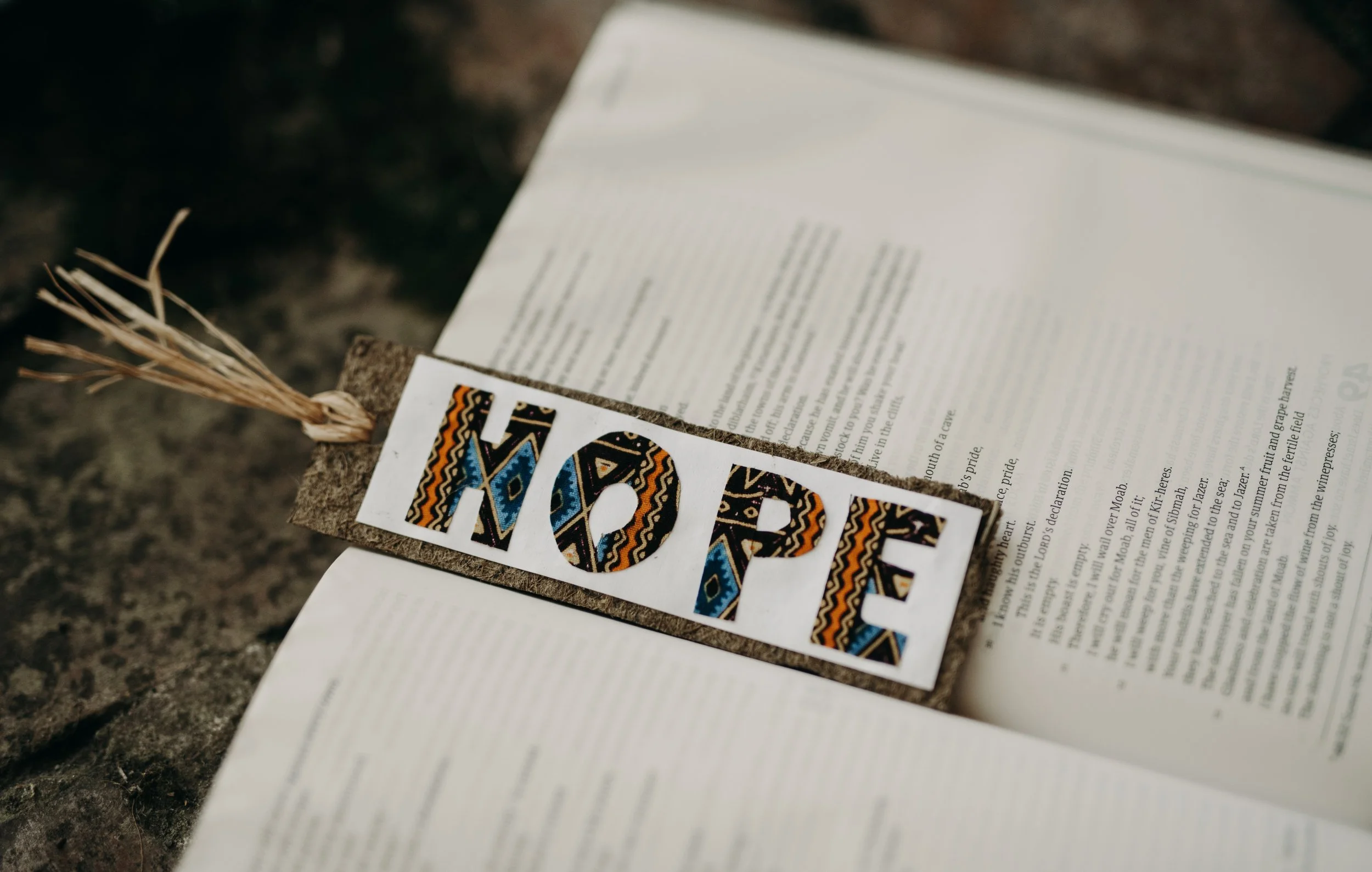 Bookmark in book.jpg
