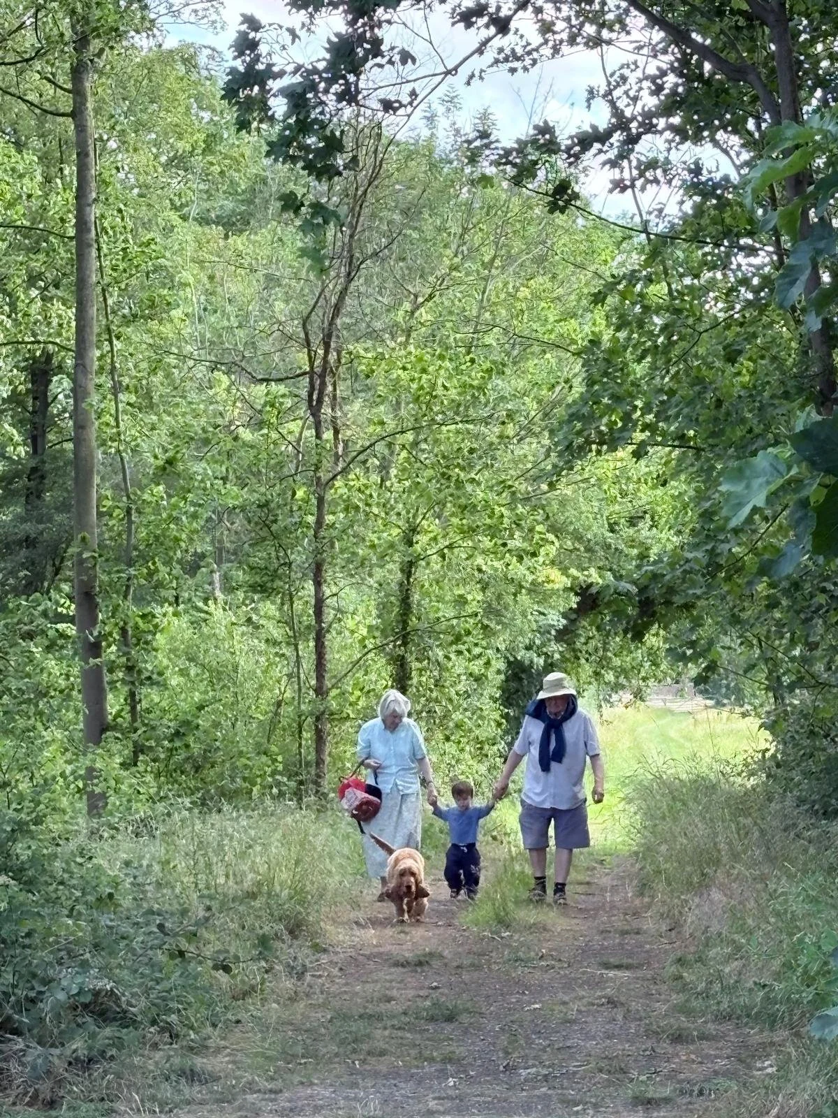 Family walking woodland path near The Grove at Melchbourne