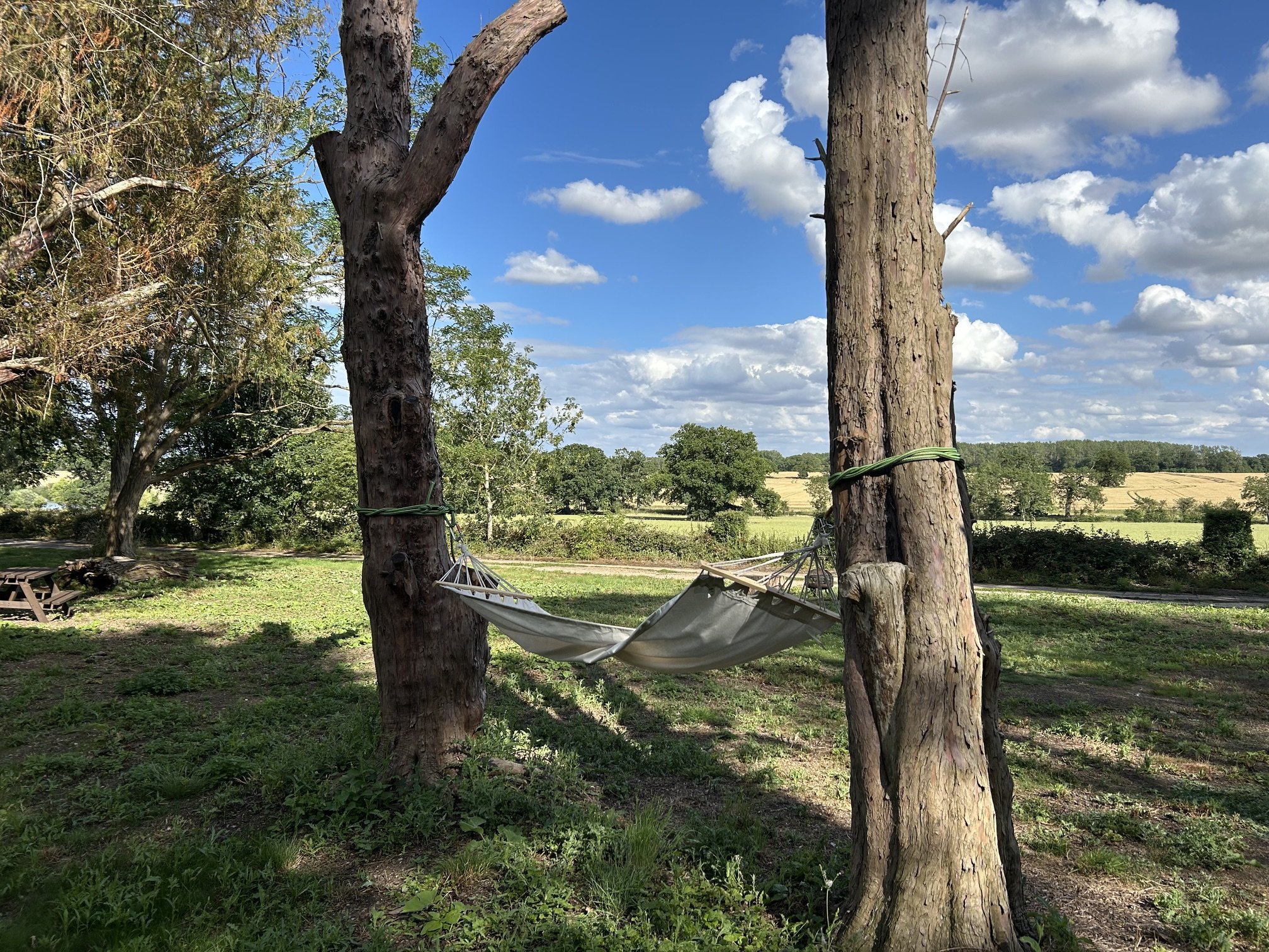 IMG_0197.jpeg