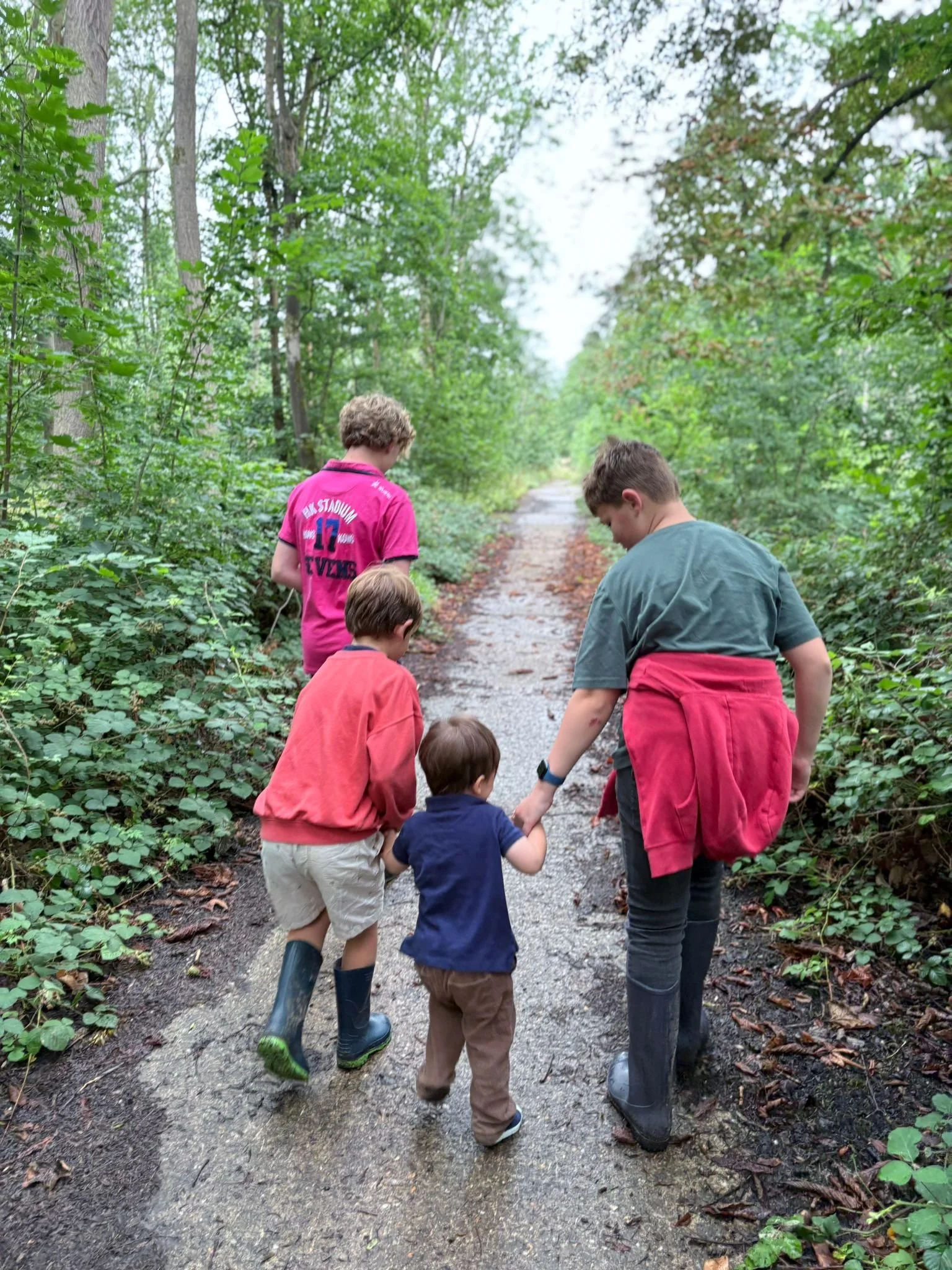 Children exploring woodland path near the glamping site
