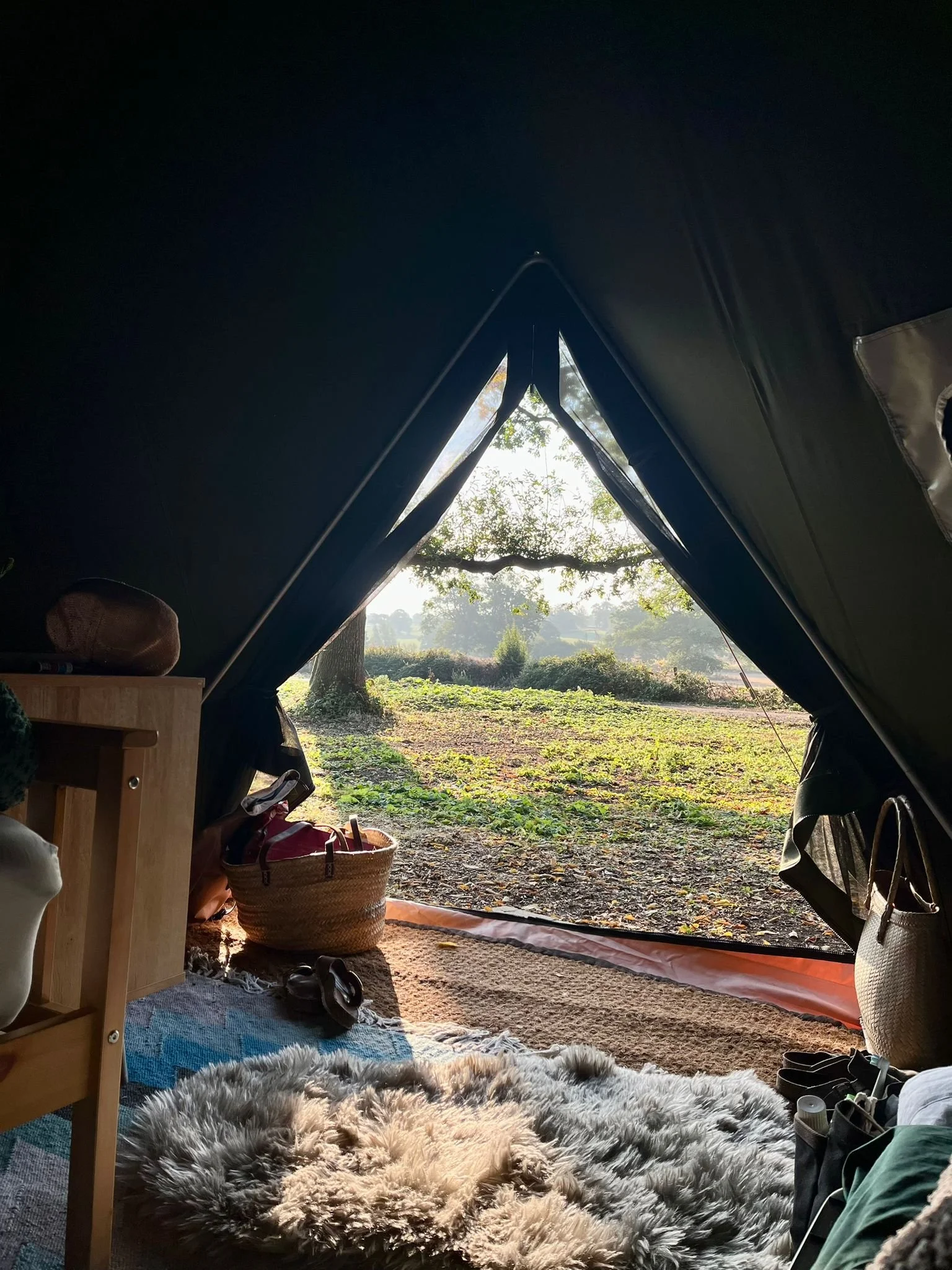 View from bell tent across the woodland at The Grove near London