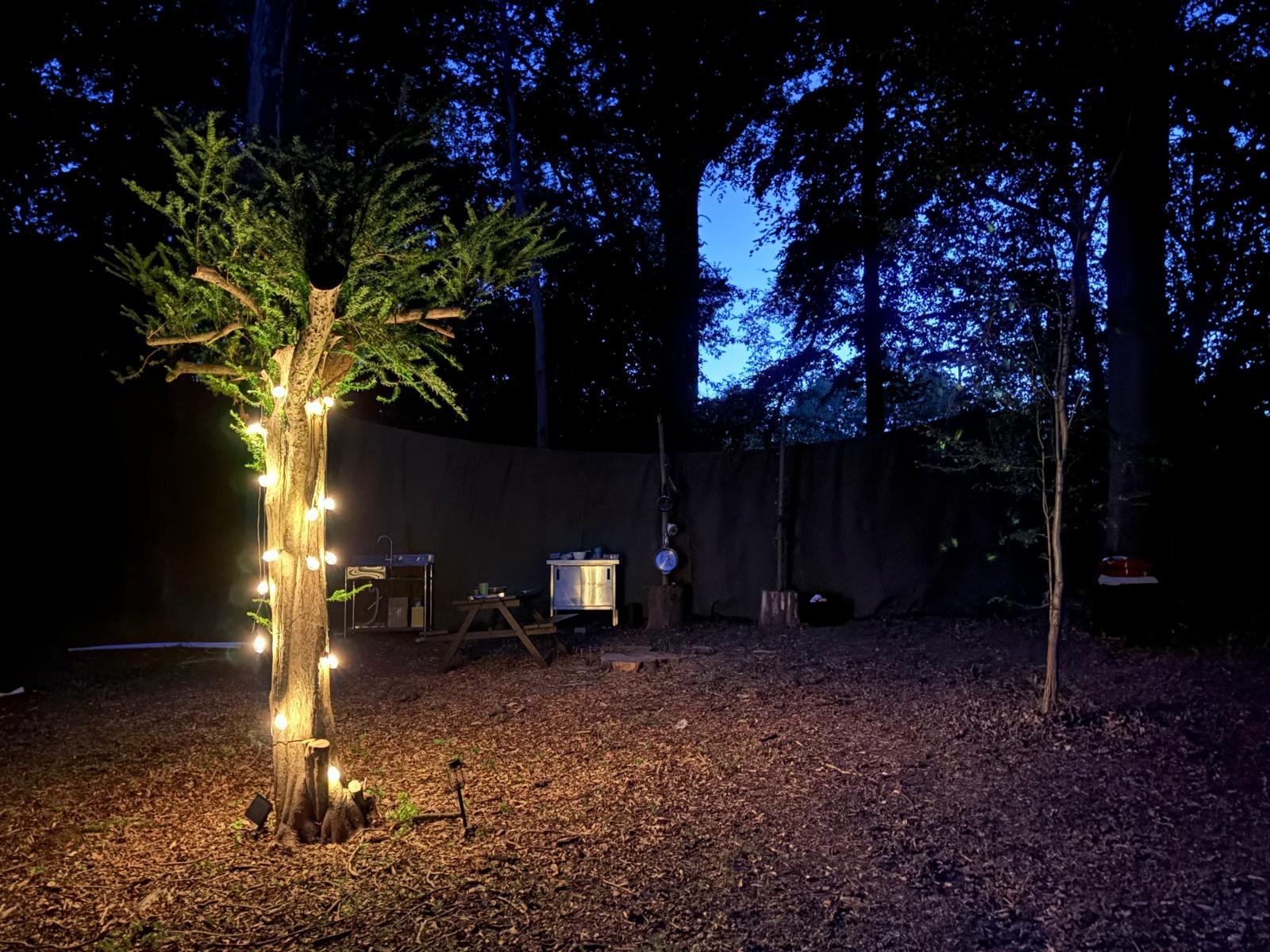 Tree lights and field kitchen at night in off-grid campsite