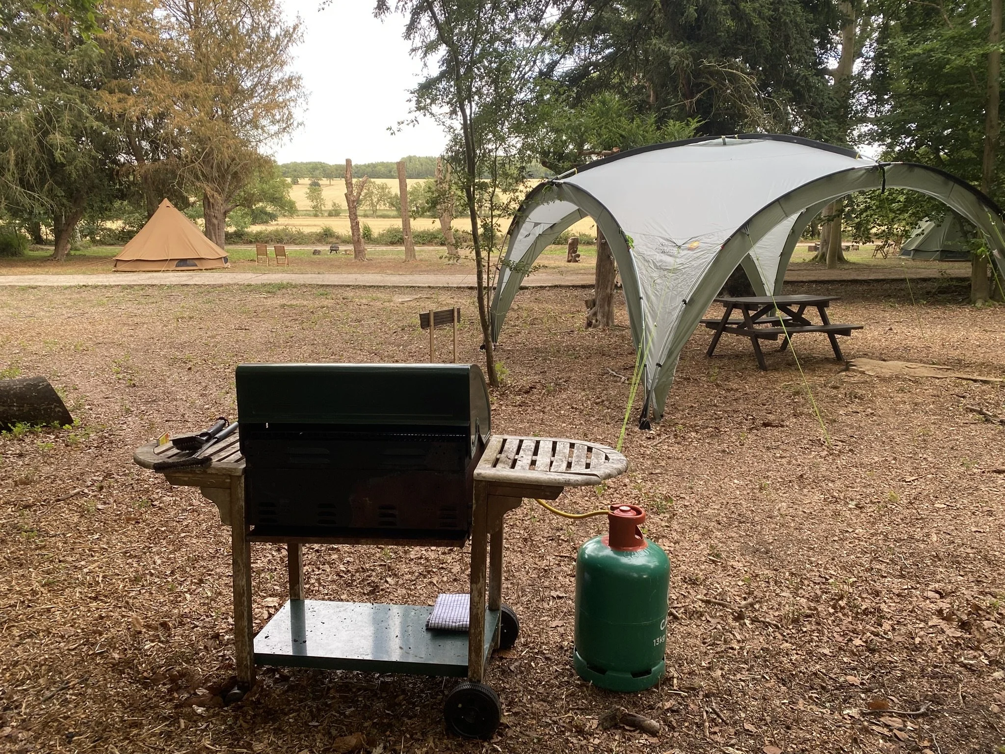 Barbecue and communal shelter at family-friendly glamping campsite