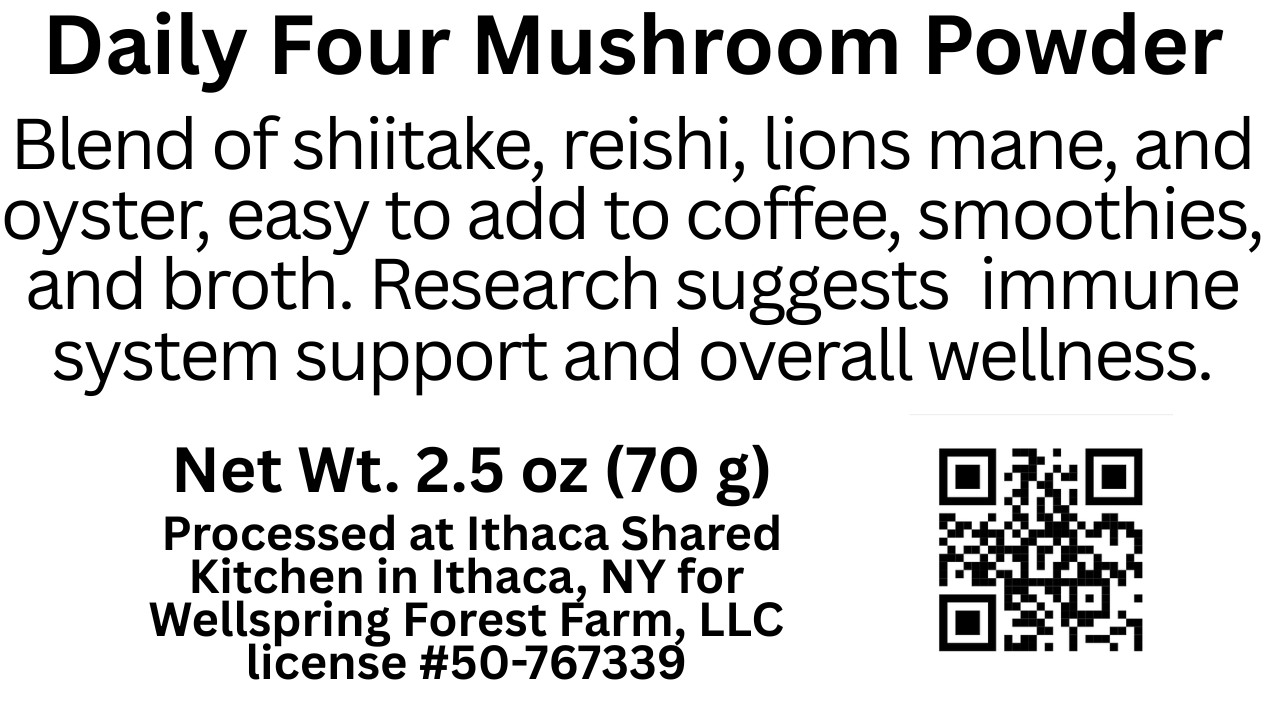 DailyFour Powder - 2.5oz.png