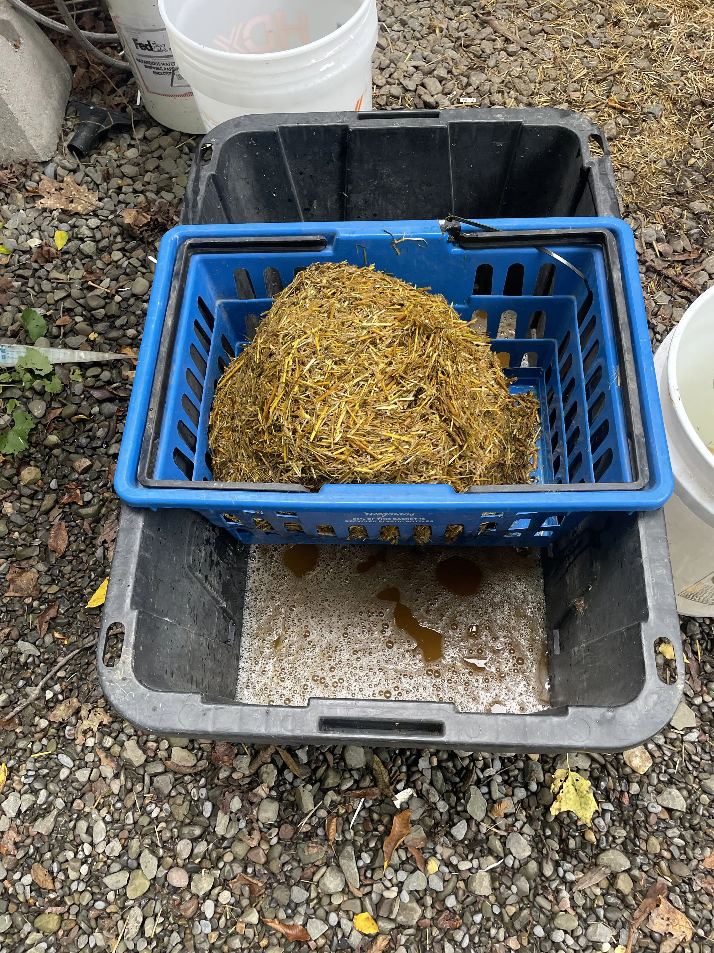 draining straw, for about 20 min. when touching straw, be sure to use gloves. 