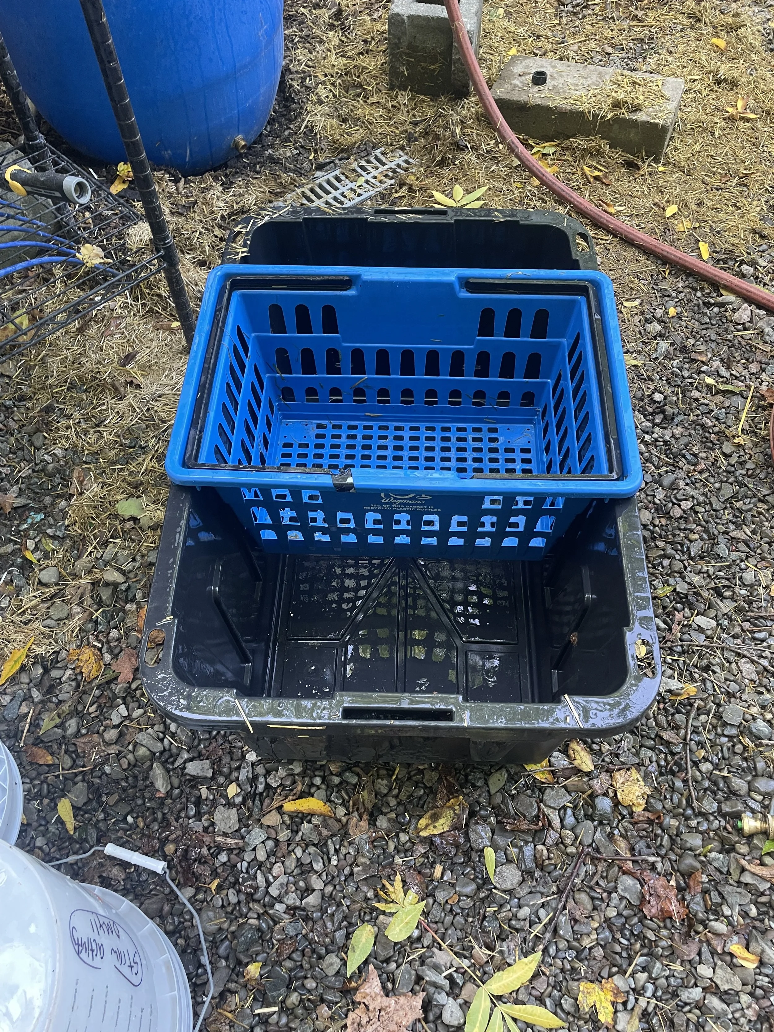 we have found a shopping basket nested intoa. common black tote bin (from lowes or home depot) works well to drain straw and capture the liquid so it can be neautralized before disposal